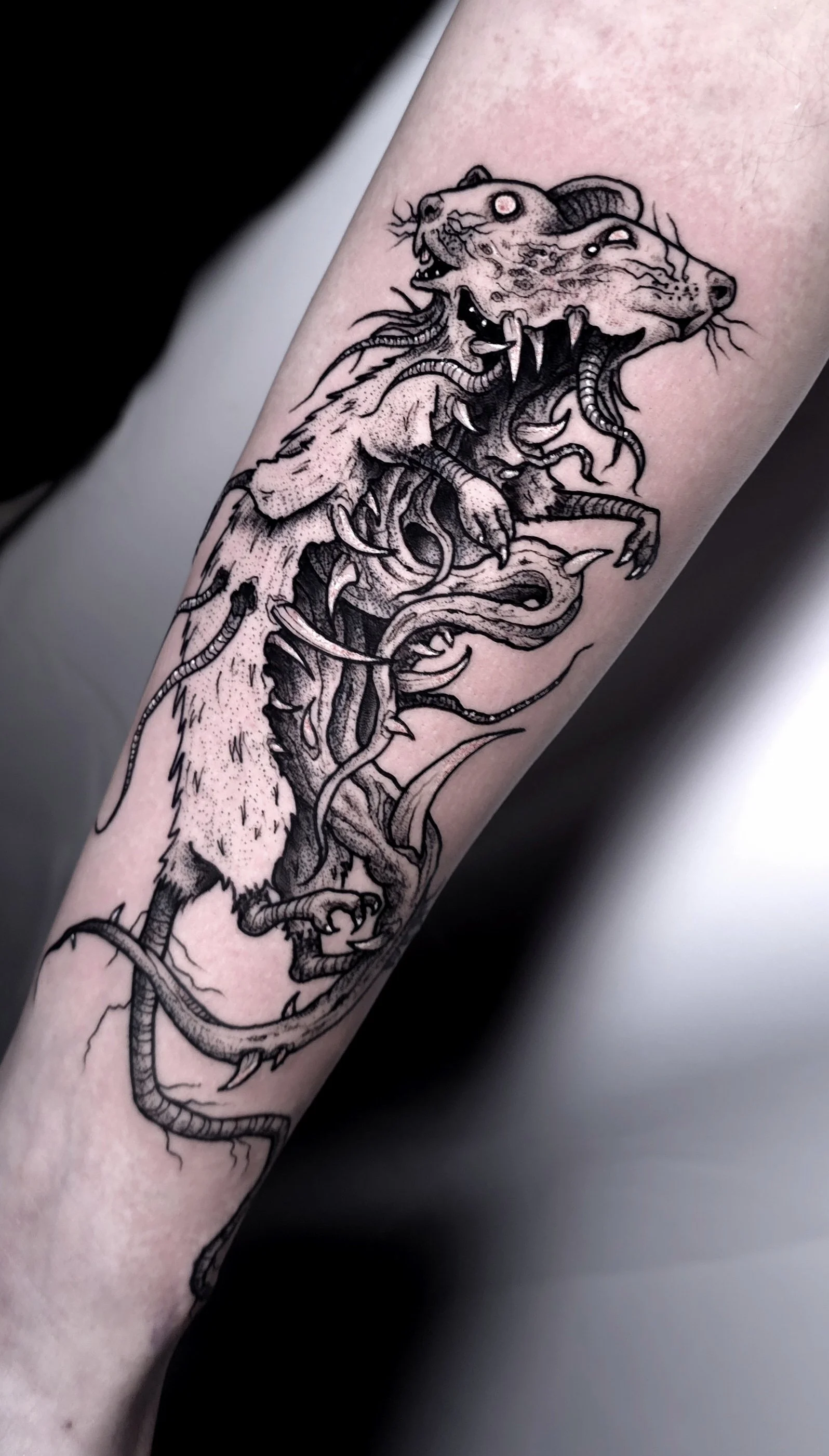 plague rat tattoo