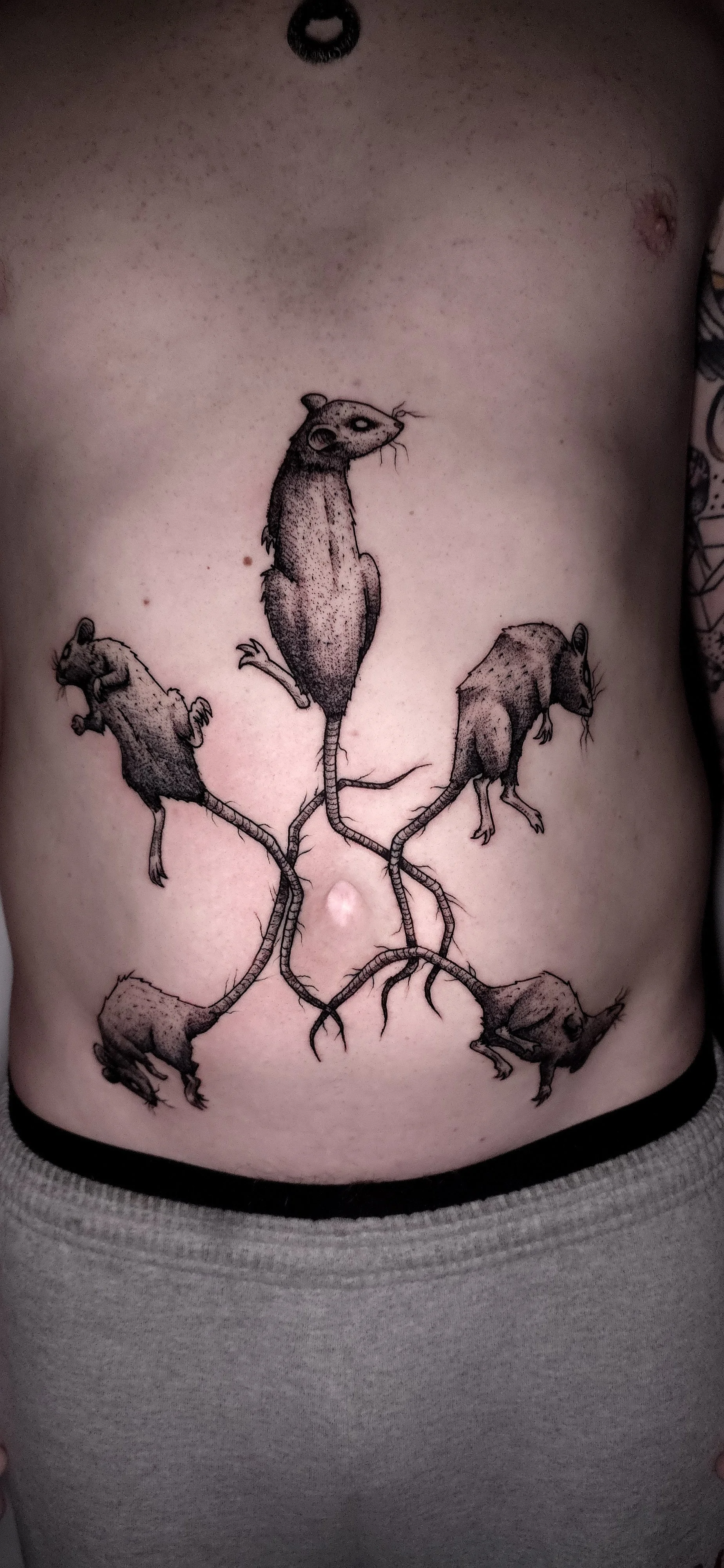 Rat King Tattoo