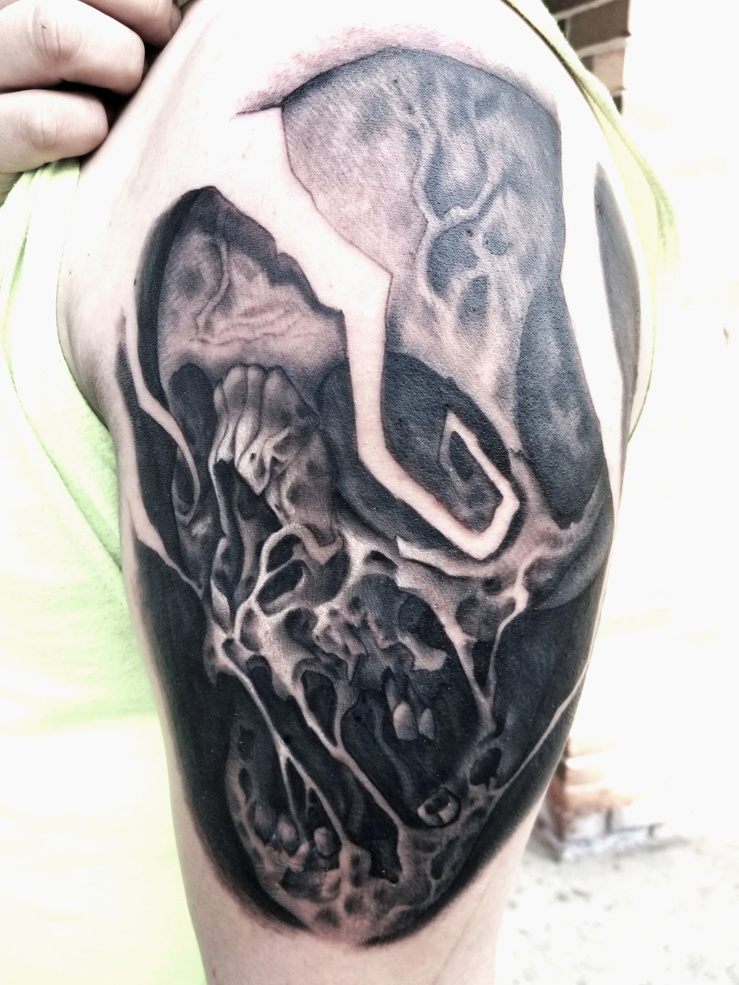 Freehand Skull Tattoo