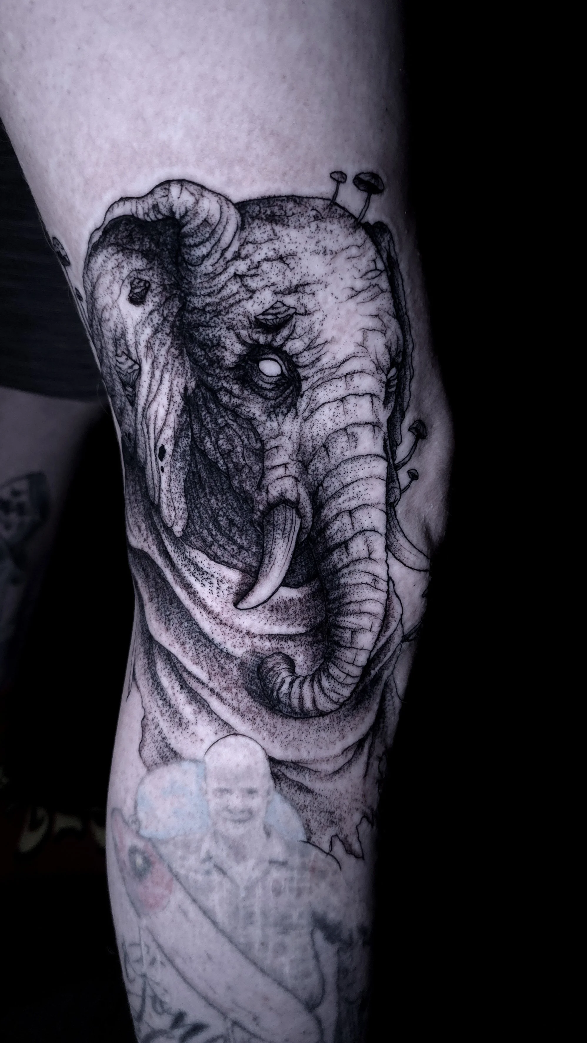 dark-elephant-tattoo-on-a-leg