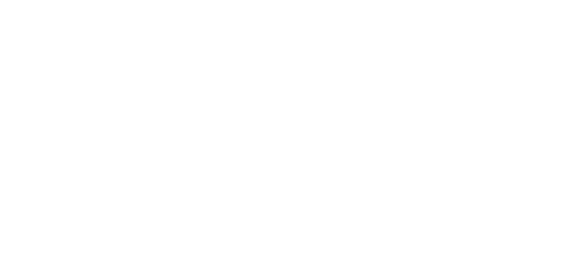 Real-E-Racing
