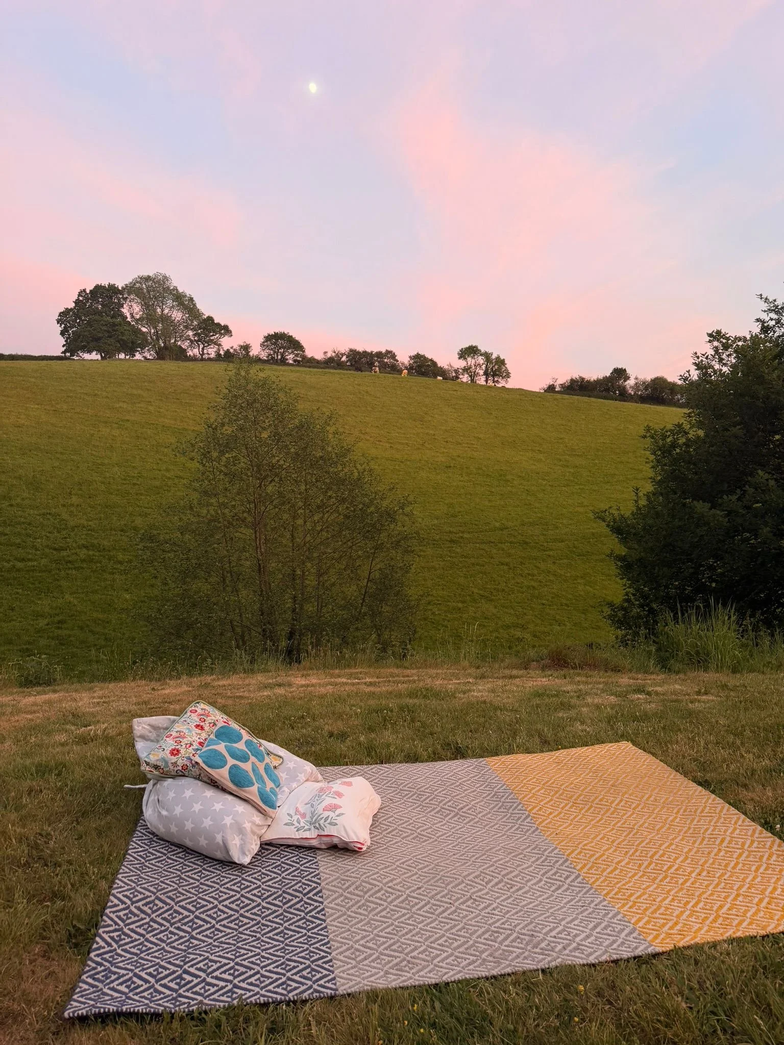 A picnic blanket with pillows and cushions in a grassy field at dusk, overlooking a hill with trees and a pink and purple sky with the moon.