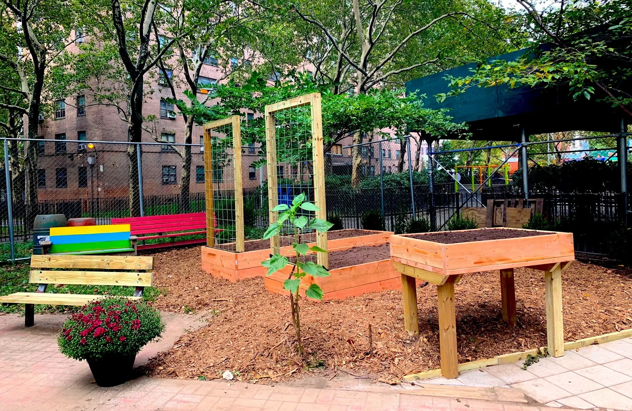 Community garden with wooden raised beds, a small plant, a colorful bench, and a potted flower, enclosed by a chain-link fence with trees and apartment buildings in the background.