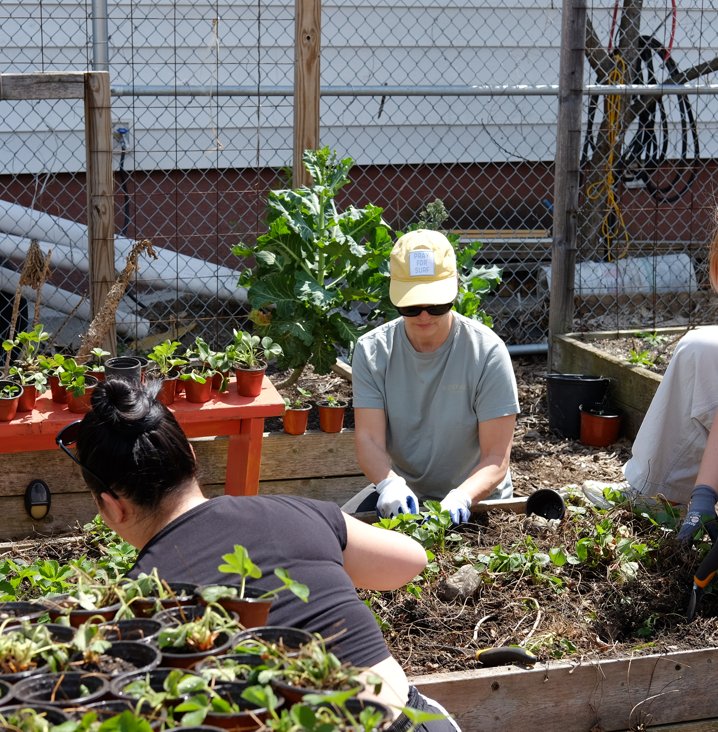 People working in a garden, planting or tending to plants, with potted plants and gardening tools visible.