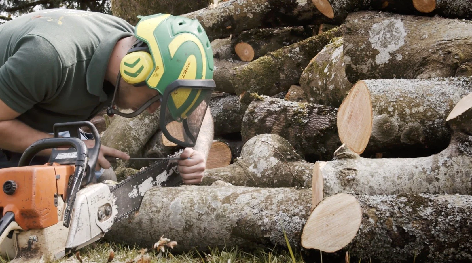 J.A. Stewart Tree Surgery