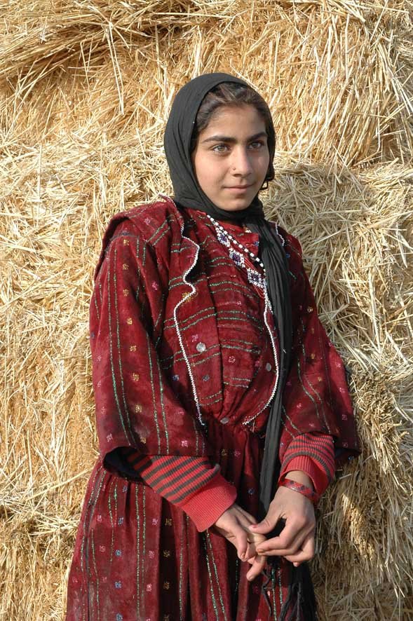 35. Harvest Gold.jpg