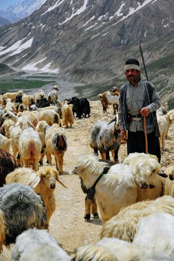 25. The Shepherd's Watch.jpg