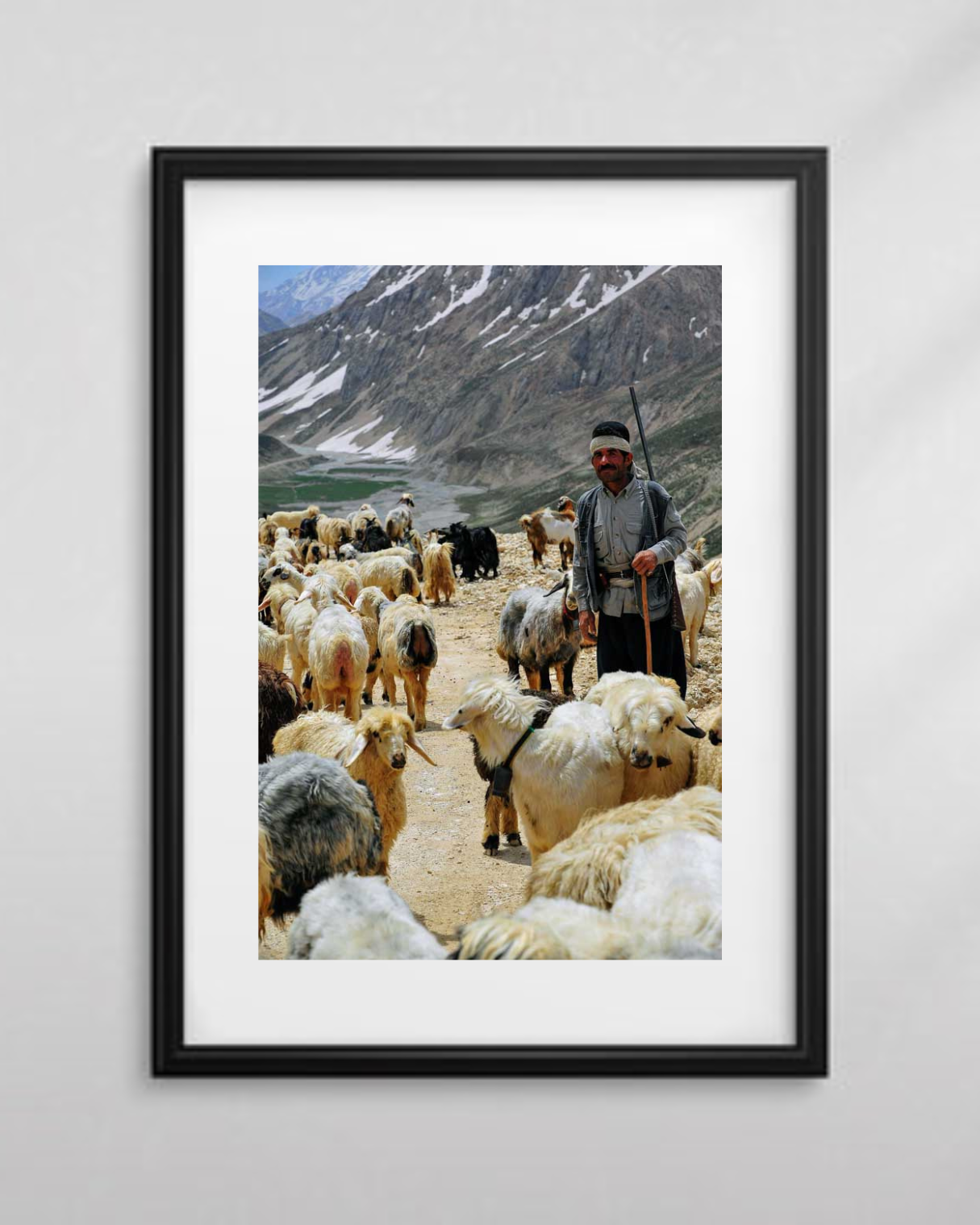 The Shepherd's Watch