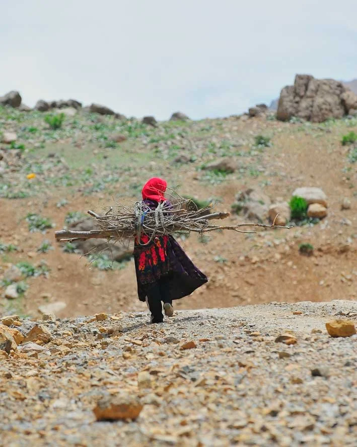 50x40DIG-63 copy.jpg