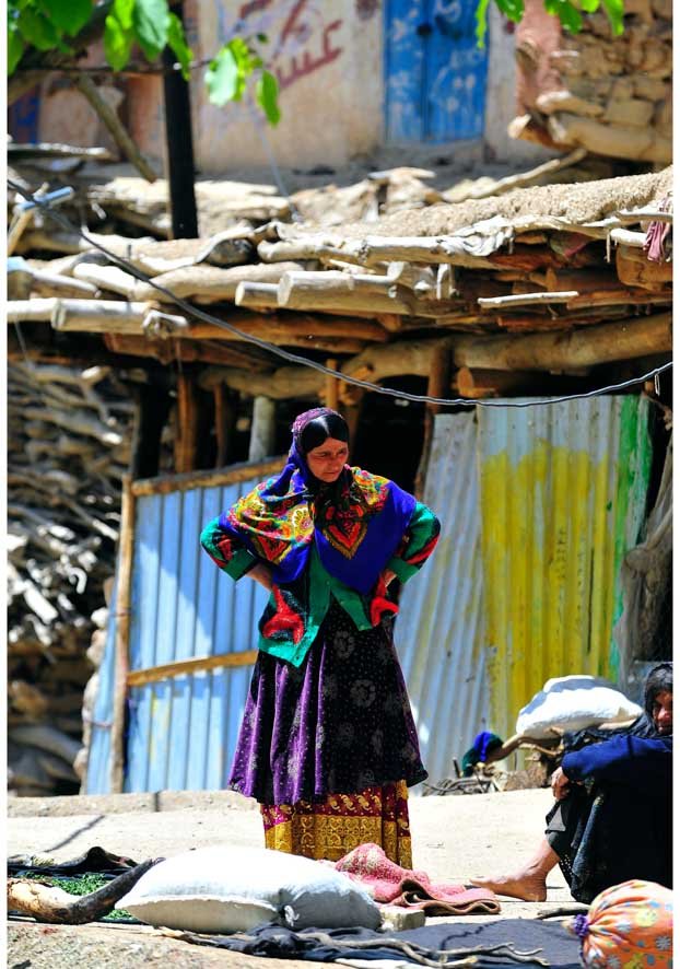 31. The Matriarch.jpg