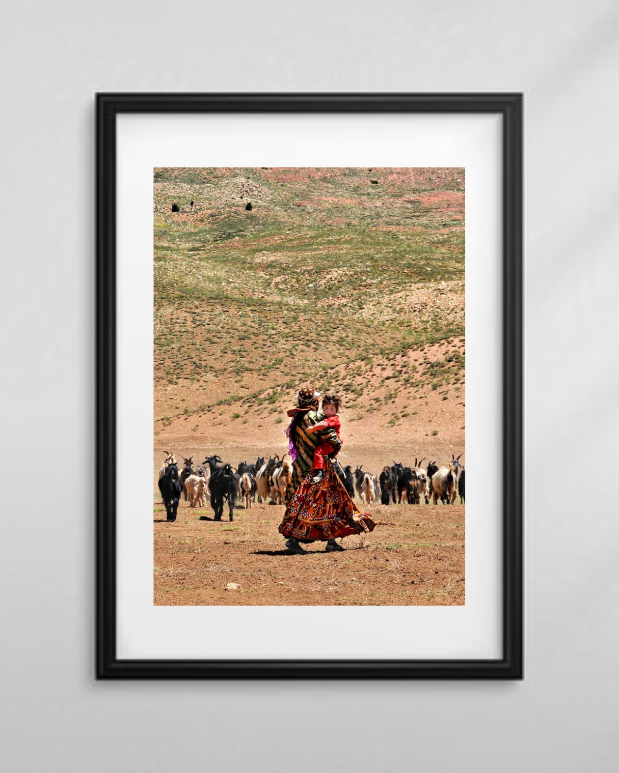 Across the High Country