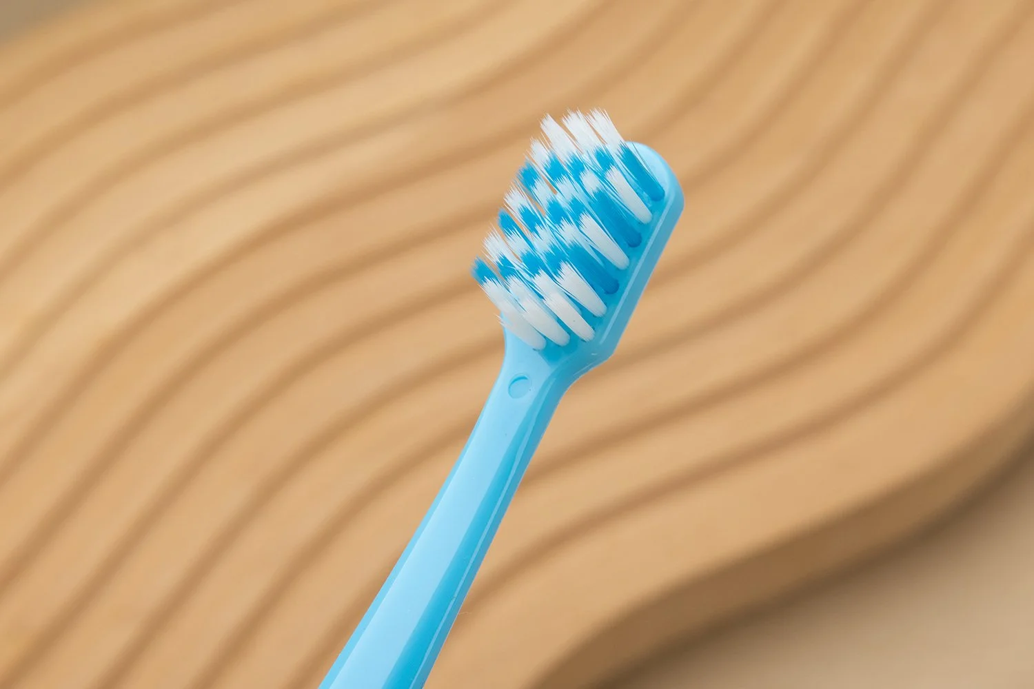 TB-013｜柄：PP（ポリプロピレン）｜毛：ソフト・ナイロン2色 先細テーパード 0.18mm｜全長18cm｜約11.3g/本｜ブルー（柄）・ブルー／ホワイト（毛）｜名入れ印刷可（紙箱／OPP個包装／紙袋）