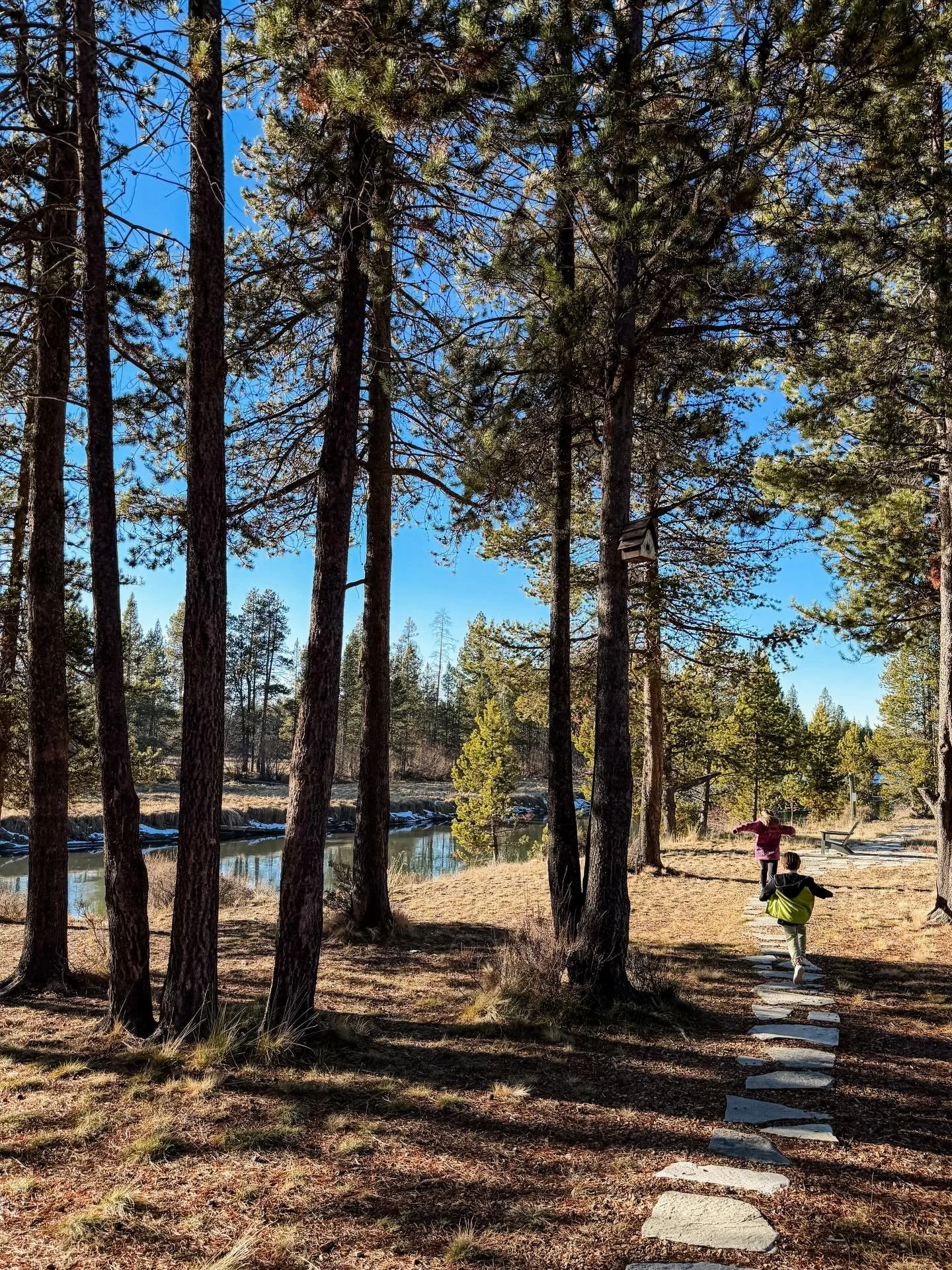 &ldquo;Let&rsquo;s take the scenic route!&rdquo; the kids yell on the way to help me with something in the cottage. 

No argument here 😍

#visitcentraloregon #deschutes #vacationrental #propertymanagerkids