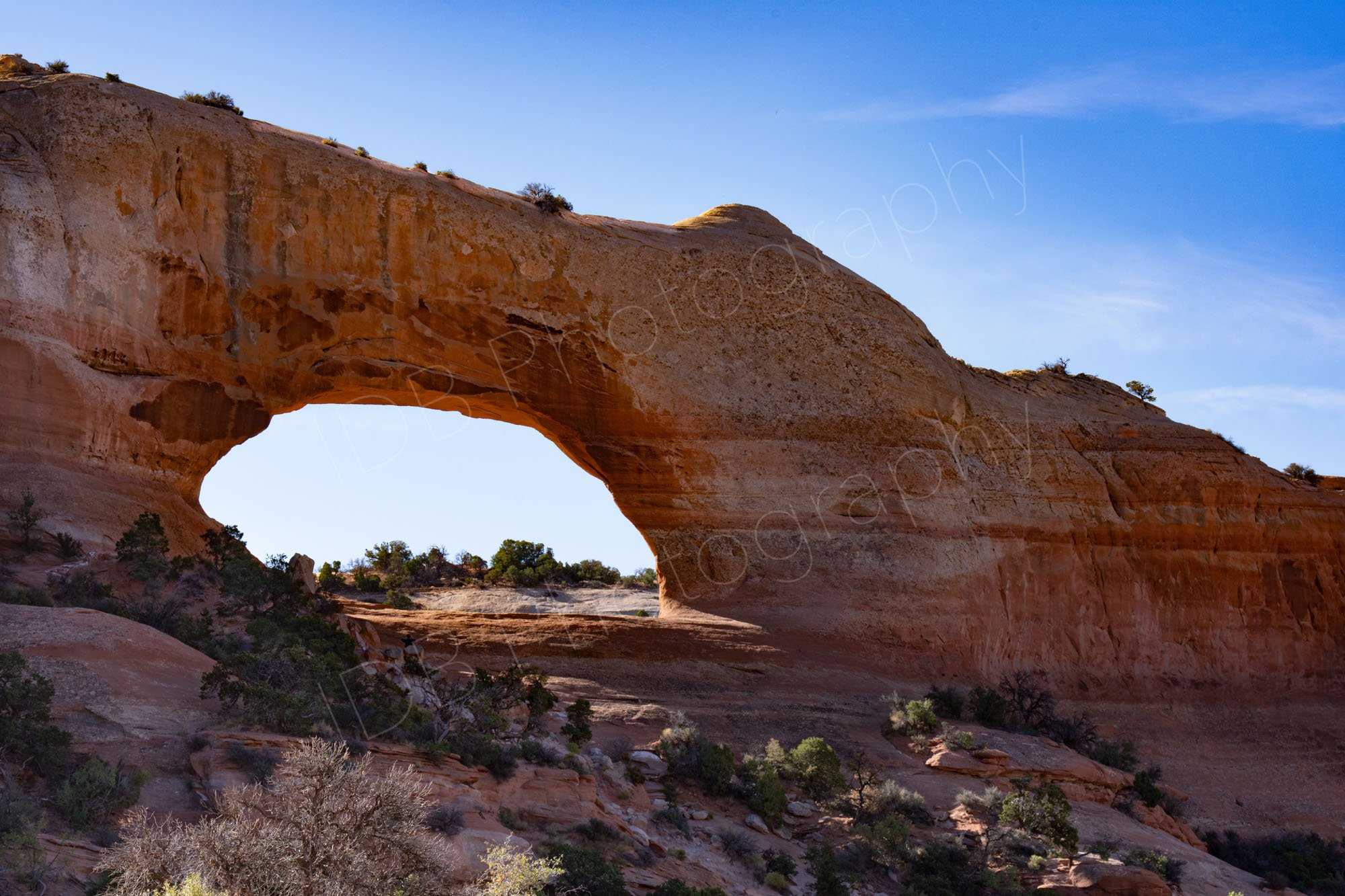 Wilson Arch, a large natural rock formation located in southeastern Utah, scrubby desert foreground with blue sky.