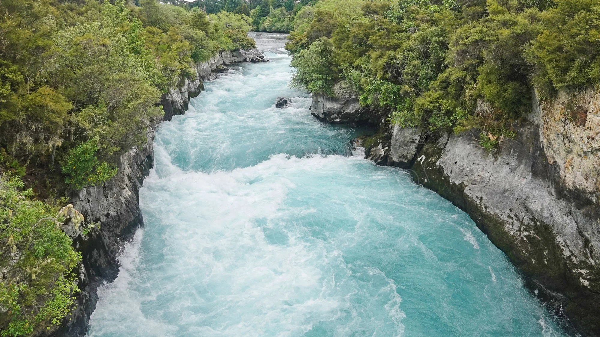 The powerful Huka Falls, Waikato River near Taupō, New Zealand. Pale blue and white water, roar down a gorge bounded by rocks and vegetation.