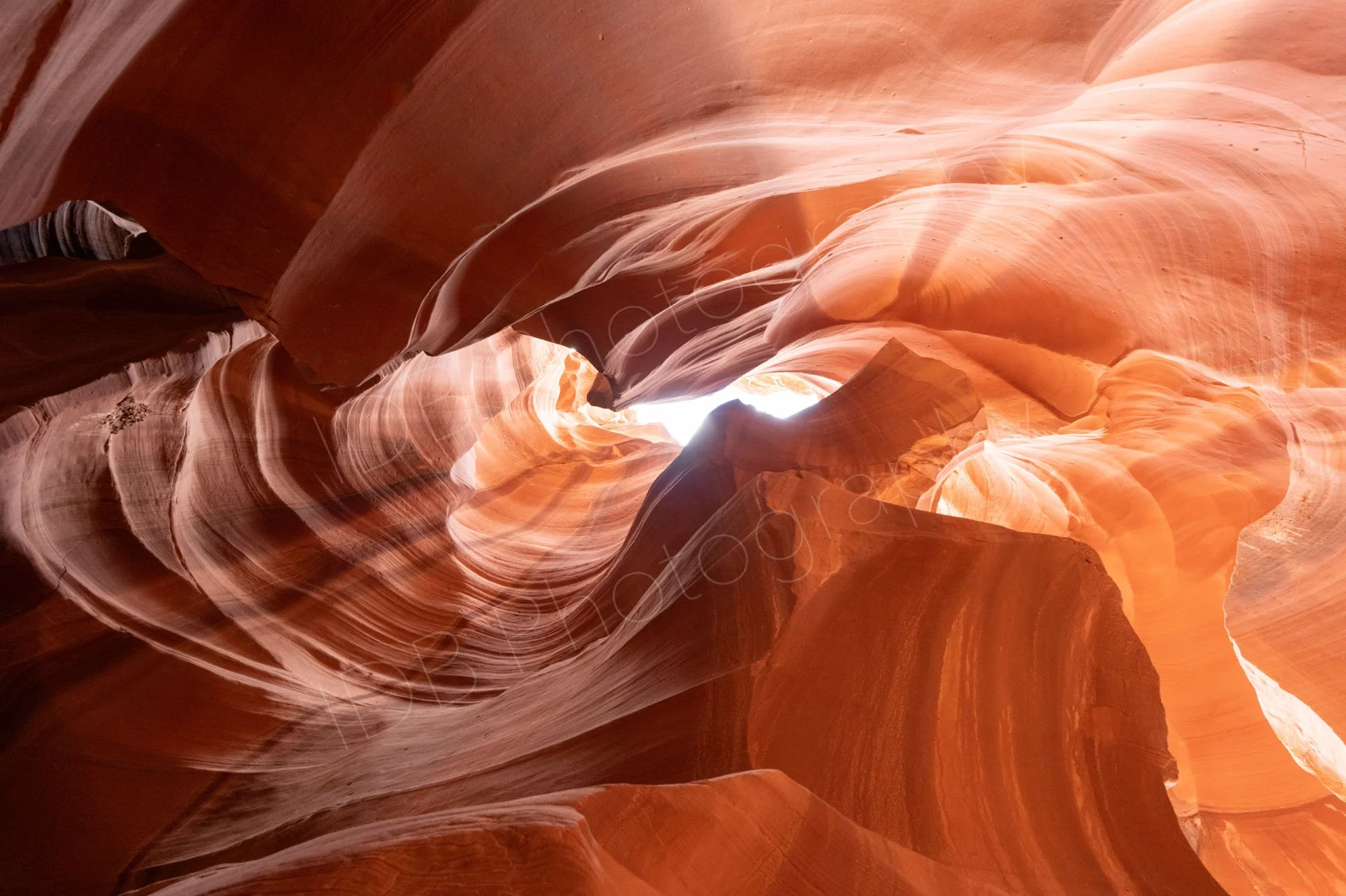 Smooth, flowing orange and brown sandstone walls of Antelope Canyon, Page, Arizona, with dramatic irregular scalloping.