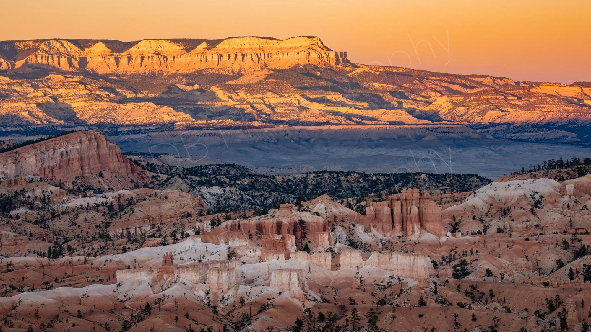 A wide view of Bryce Canyon at sunset with hoodoos in the foreground, a number of pine trees and the  cliffs of the Aquarius Plateau.
