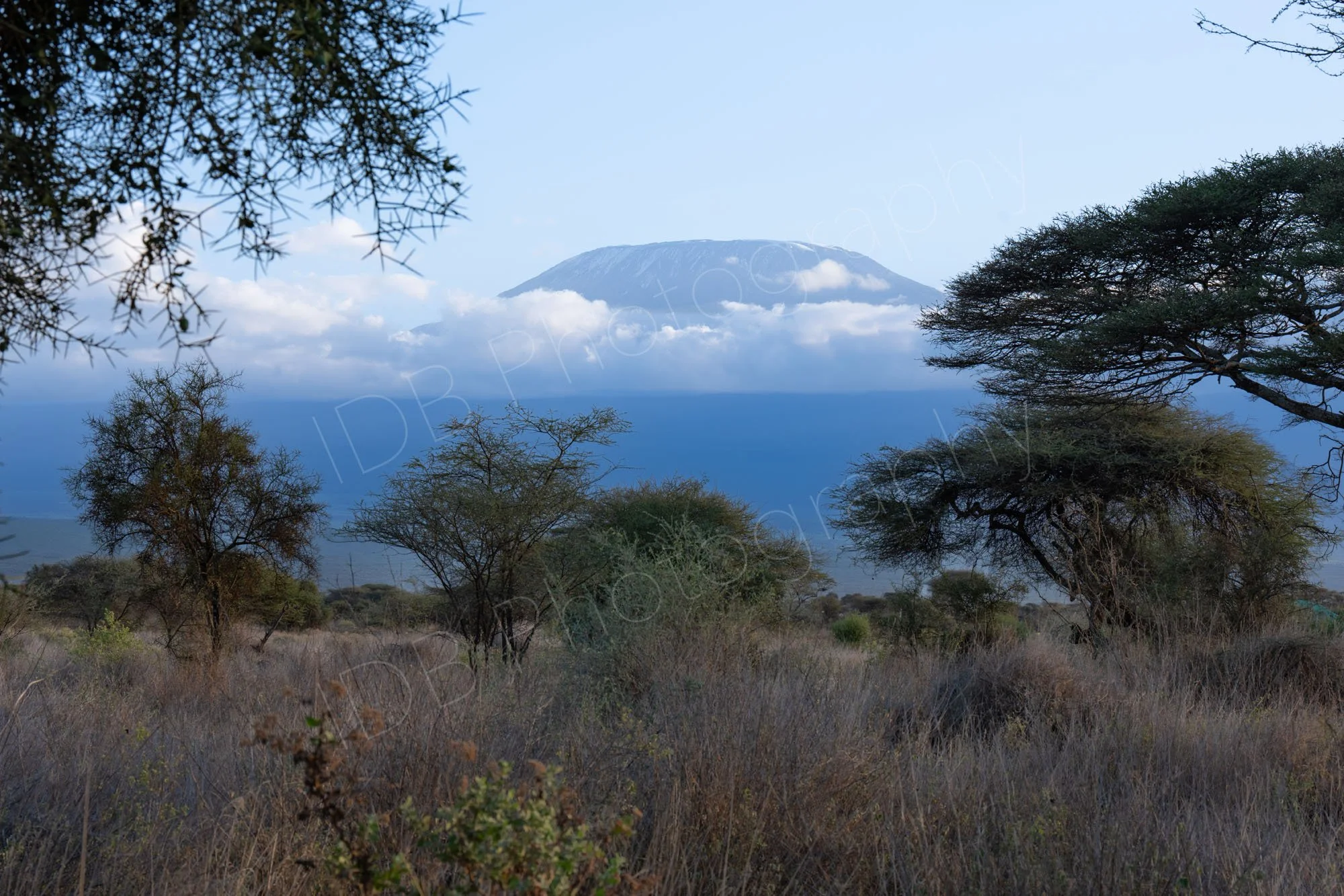 View of Mount Kilimanjaro from Kibo Camp, Amboseli, Kenya  with cloud cover receding.