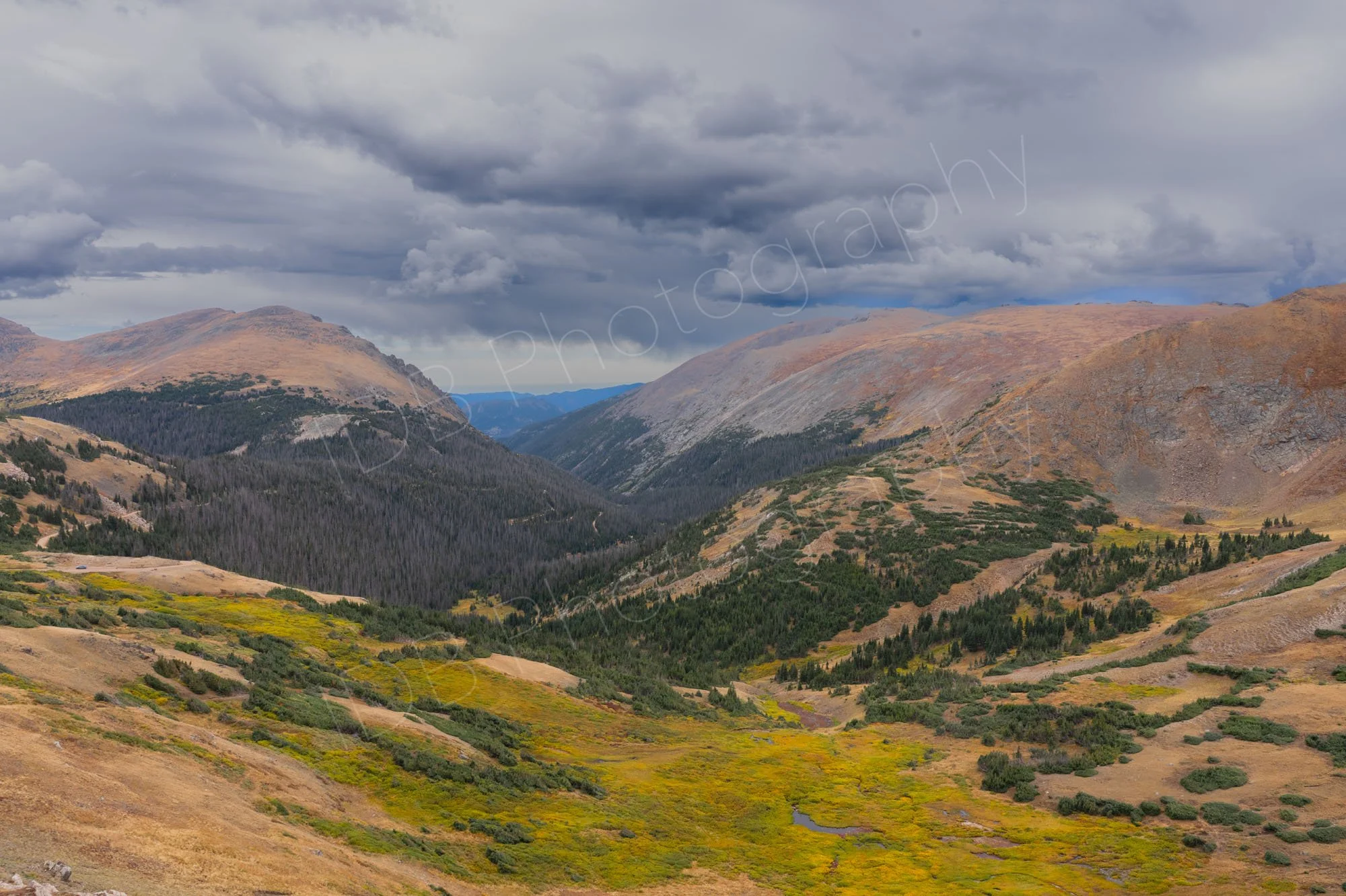 Thick clouds gathering over the gold, buff and tree covered hills of Rocky Mountain National Park, Colorado, USA.