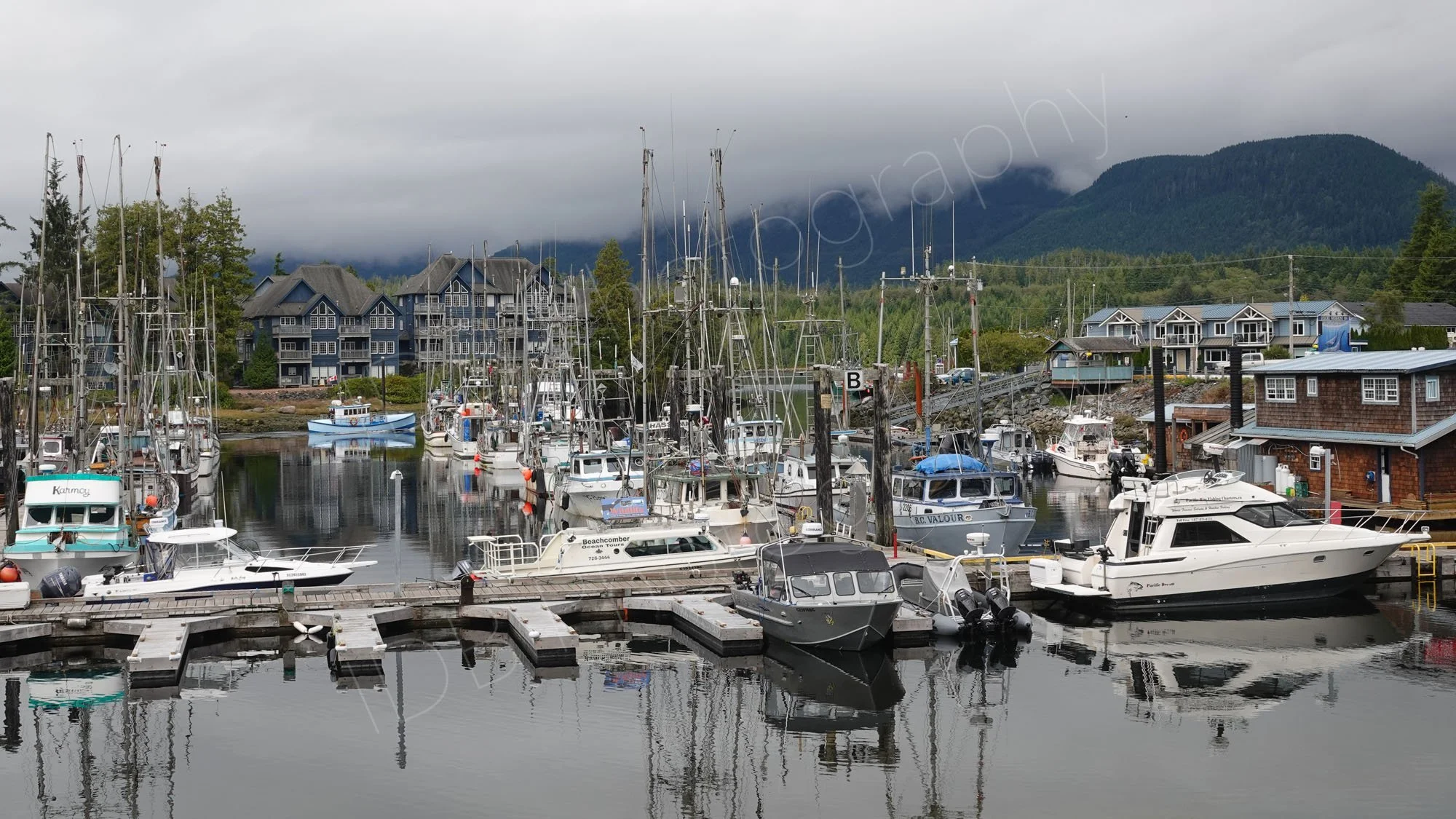 The harbour and marina in Ucluelet, Vancouver Island, BC with a number of small craft and commercial fishing vessels, low cloud background.