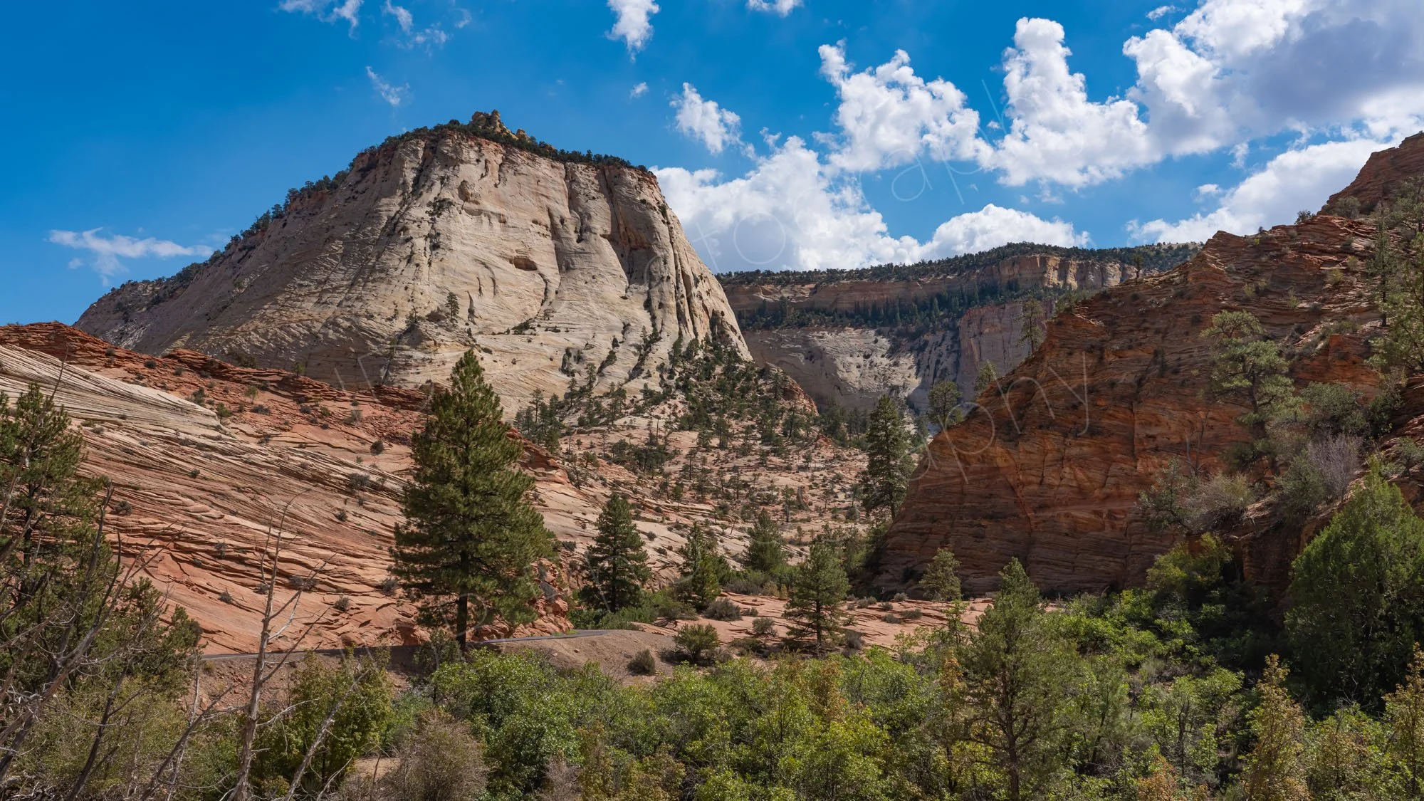 A scenic view in Zion National Park, Utah, featuring towering grey and red Navajo Sandstone monoliths, pine trees and cloudy blue sky.