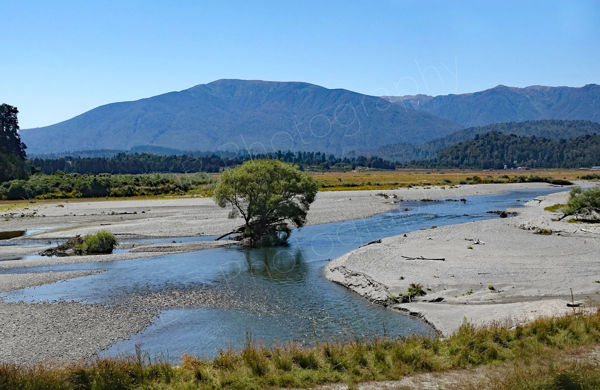 Landscape of the braided Waimakariri River, Canterbury, New Zealand, with a central low tree and mountain background with blue sky.