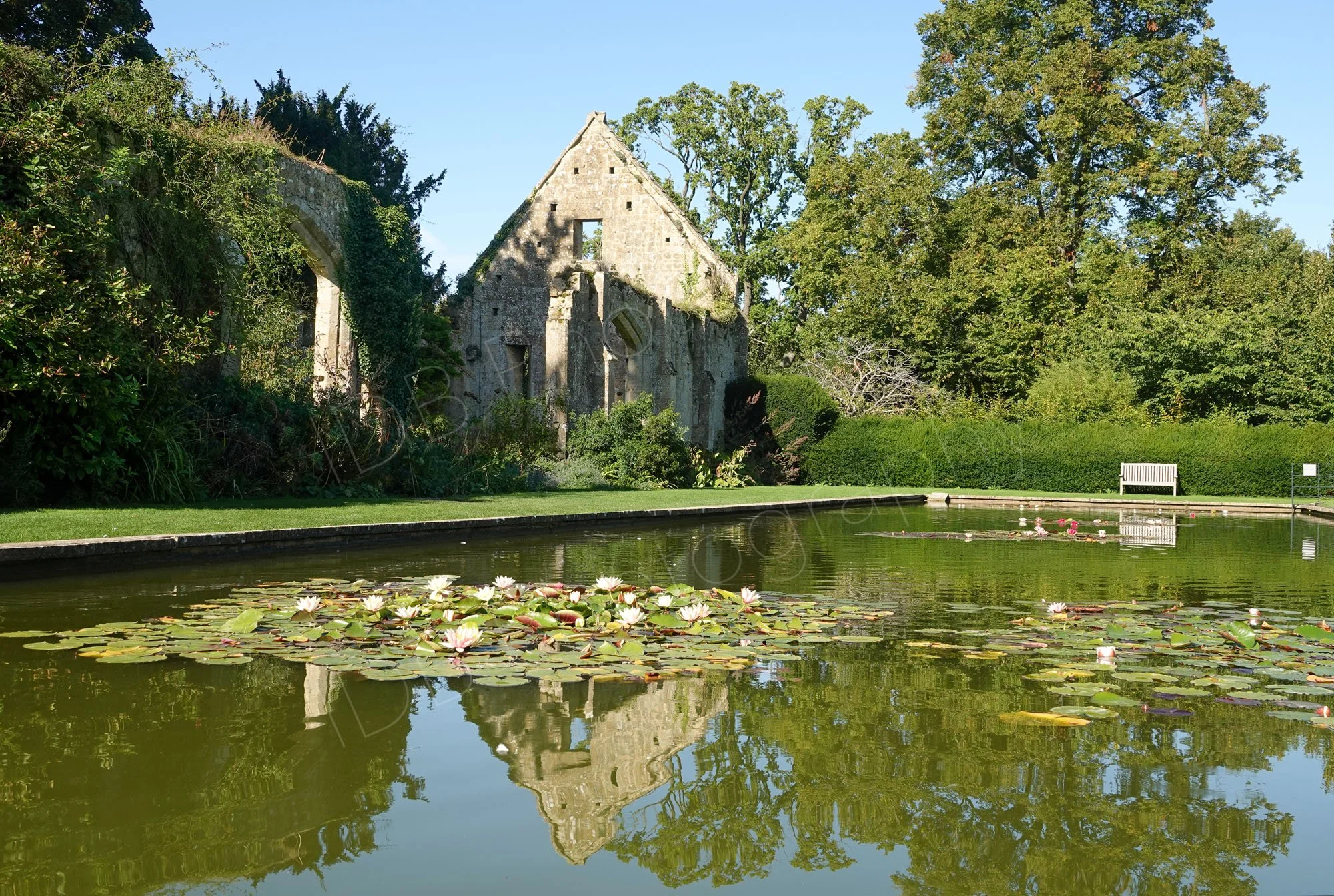 15th-century Great Tithe Barn ruins and trees  reflected in the tranquil lily pond in the gardens of Sudeley Castle, in Gloucestershire.