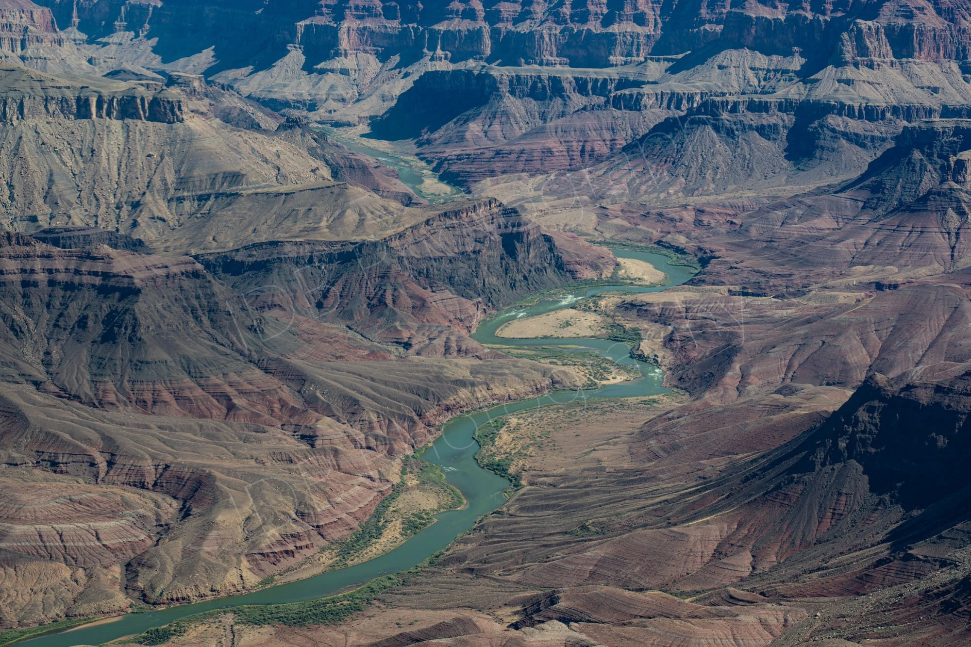 An aerial view of the Colorado River winding through the Grand Canyon National Park in Arizona, with meanders and rapids.