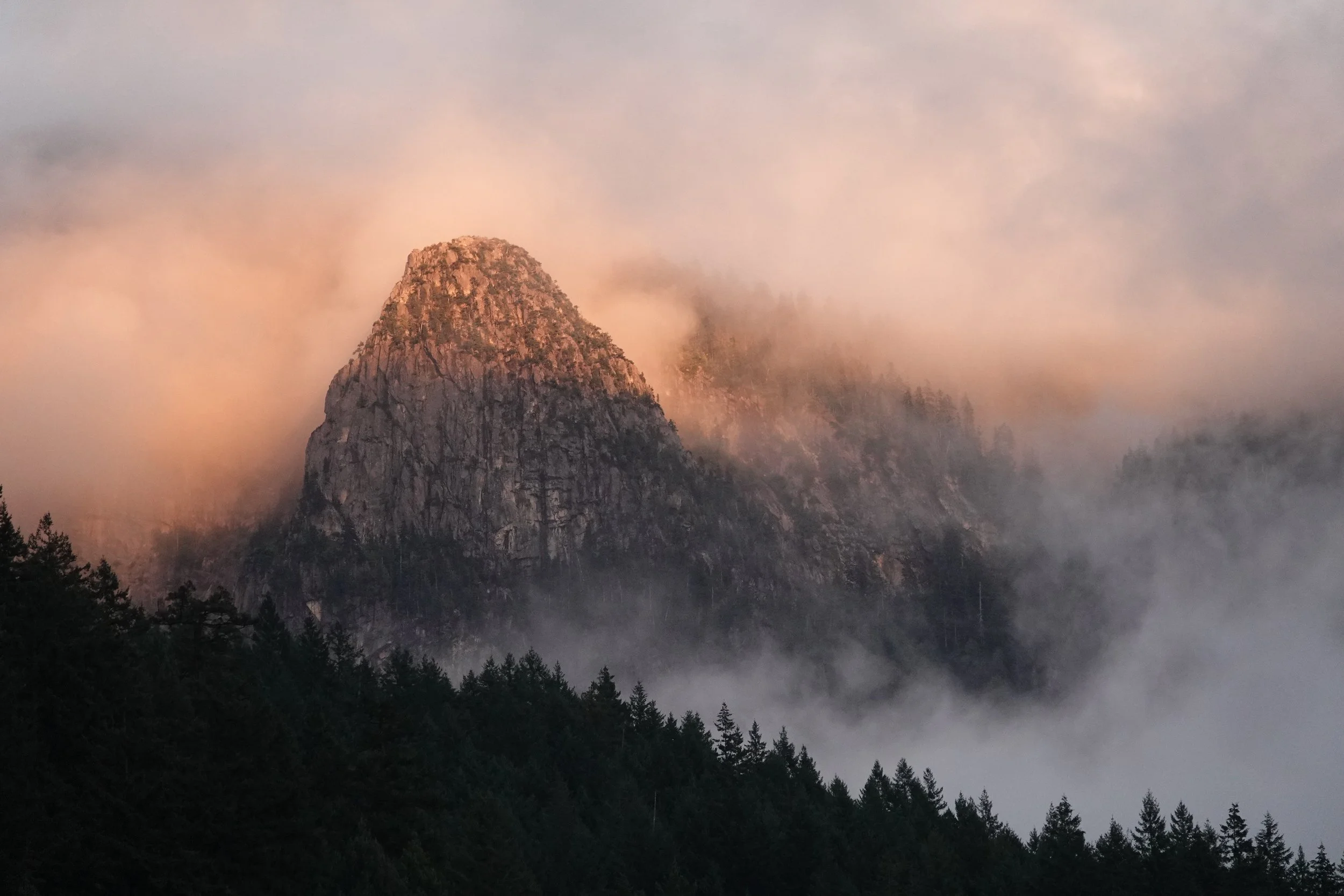 A mountain peak in British Columbia, Canada surrounded by mist, with trees in the foreground during sunset.