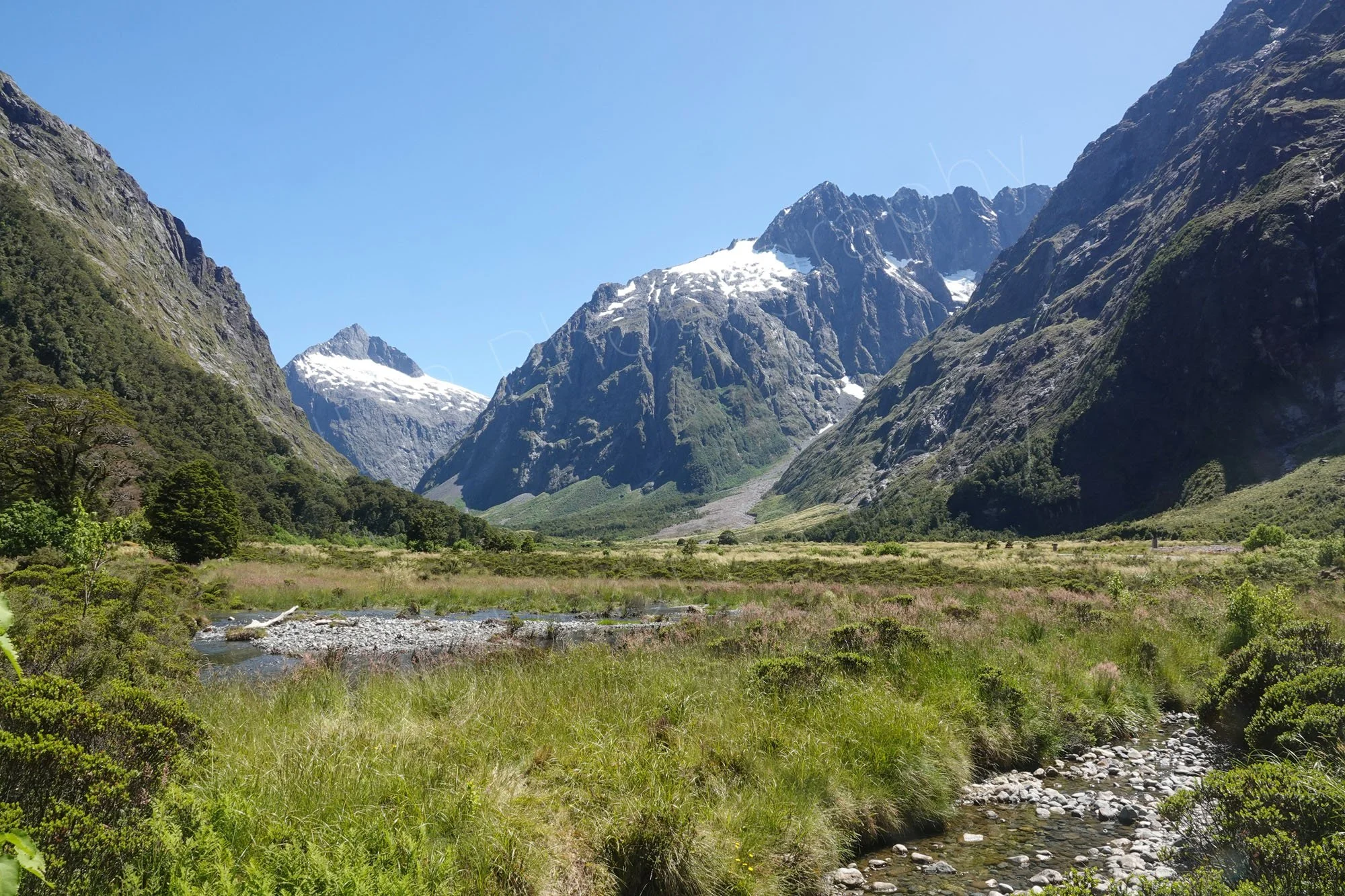 Stream, greenery and mountains with snow capped peaks, approaching Milford Sound, Fjordlands, Southlands, New Zealand.