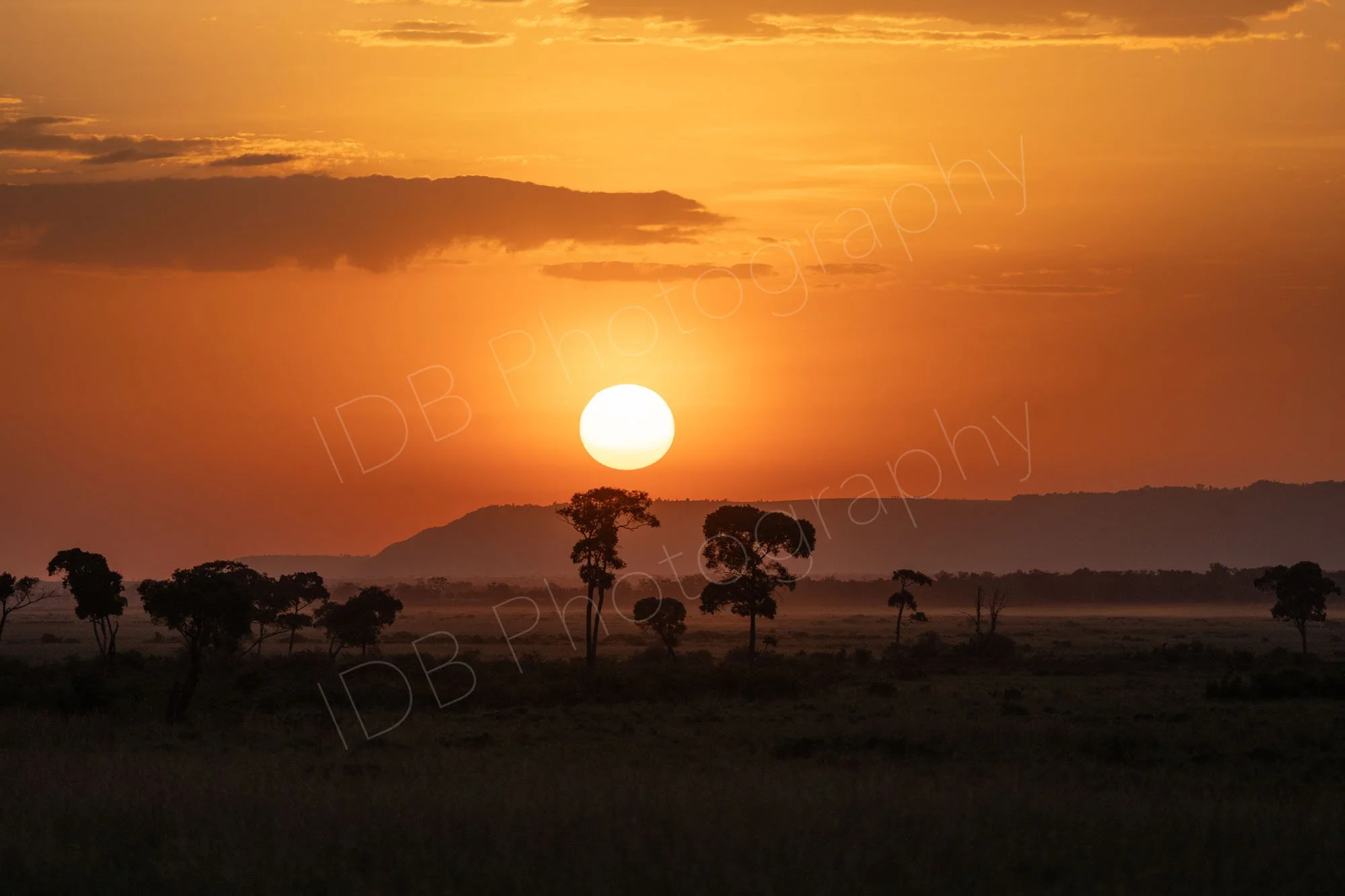 Sunset in Masai Mara, Kenya.