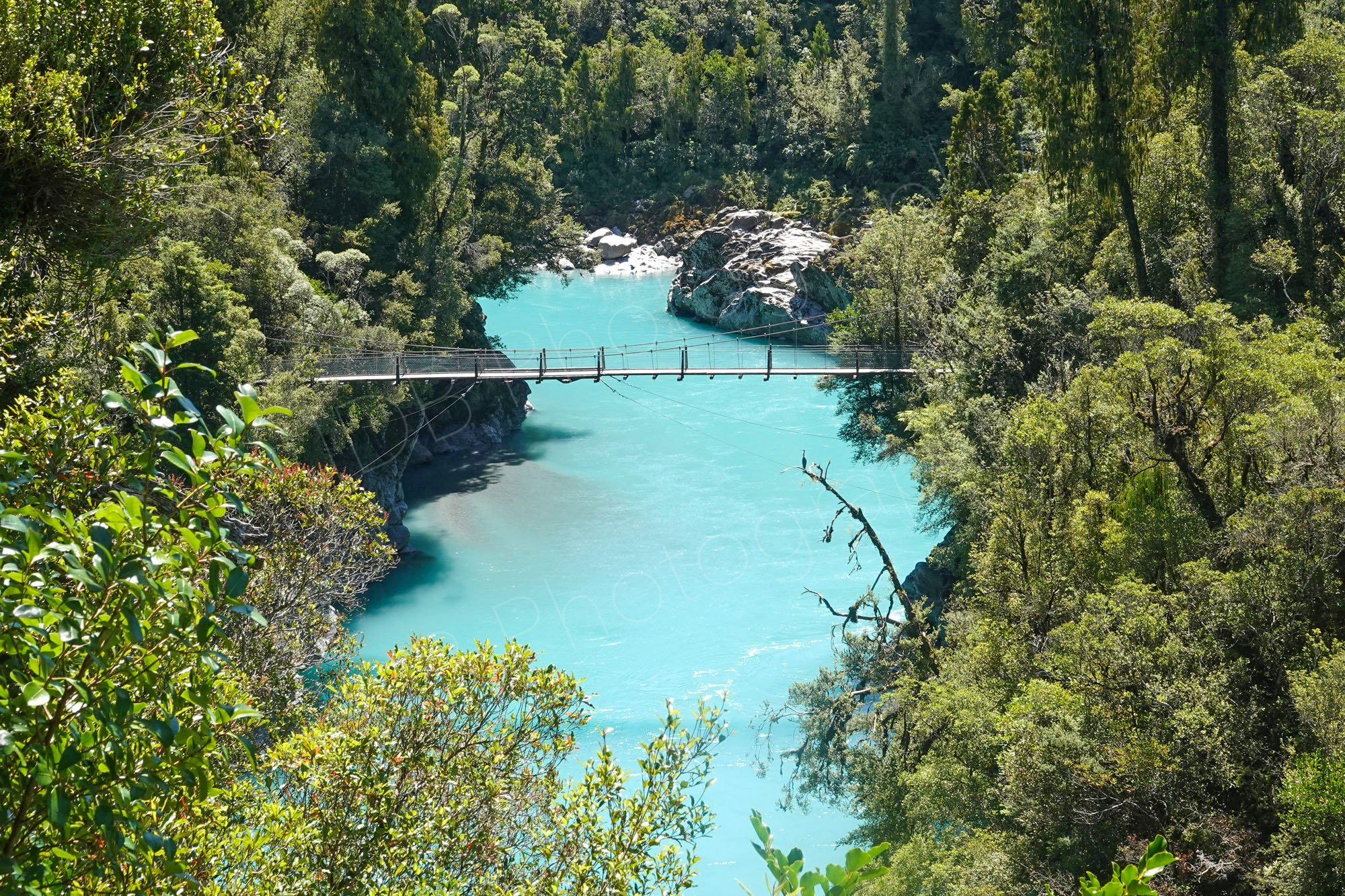 Hokitika Gorge, West Coat, New Zealand, swing bridge over beautiful pale blue water lined by rocks and trees.