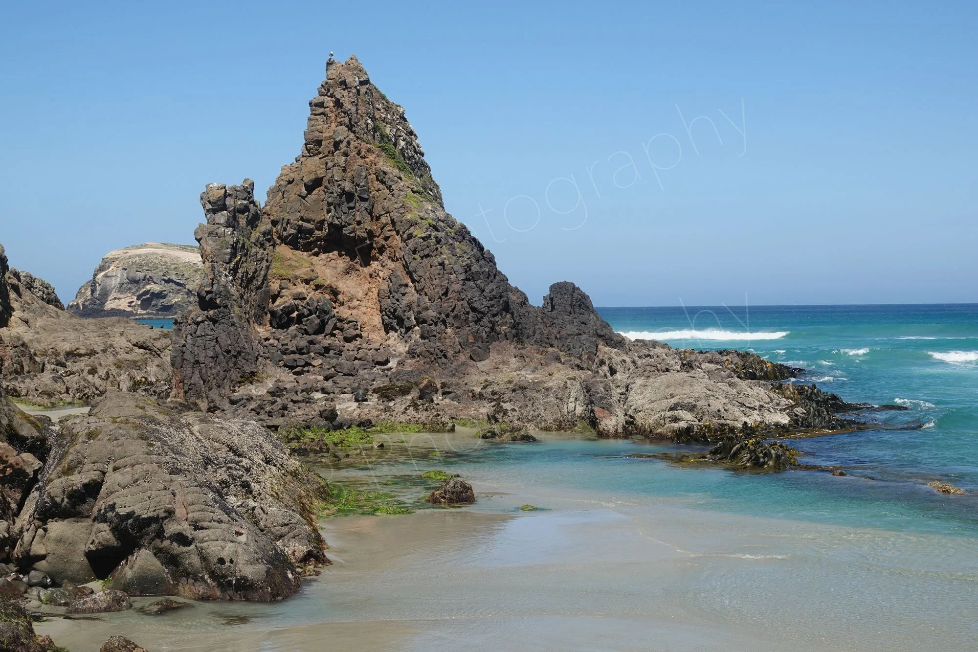 Eastern end of Allans Beach, Dunedin, Otago, at low tide with rocky outcrops.