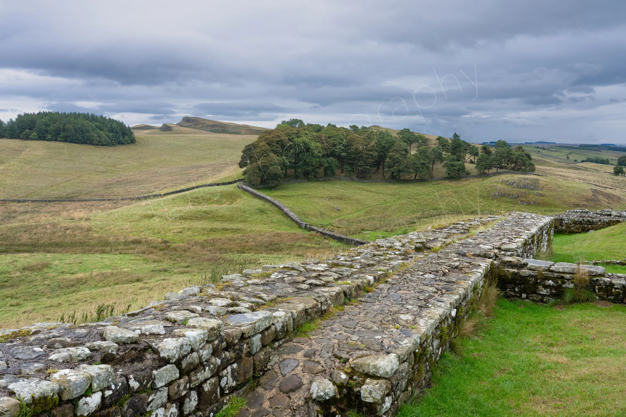 Hadrian's Wall at Housesteads Roman Fort, near Hexham, Northumberland, with green fields, coppices, threatening grey sky. 