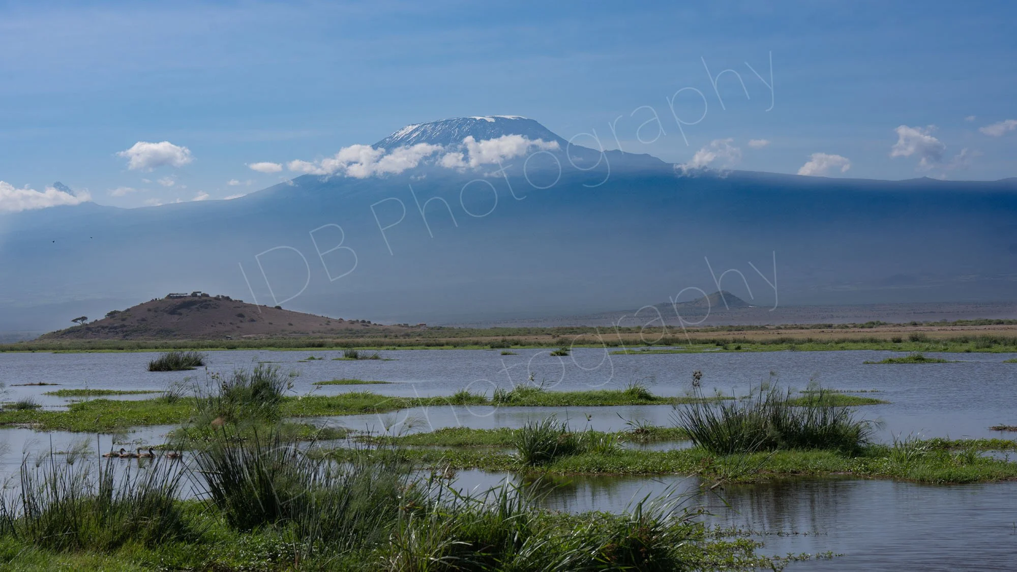 Mount Kilimanjaro, from Amboseli wetlands, Kenya.
