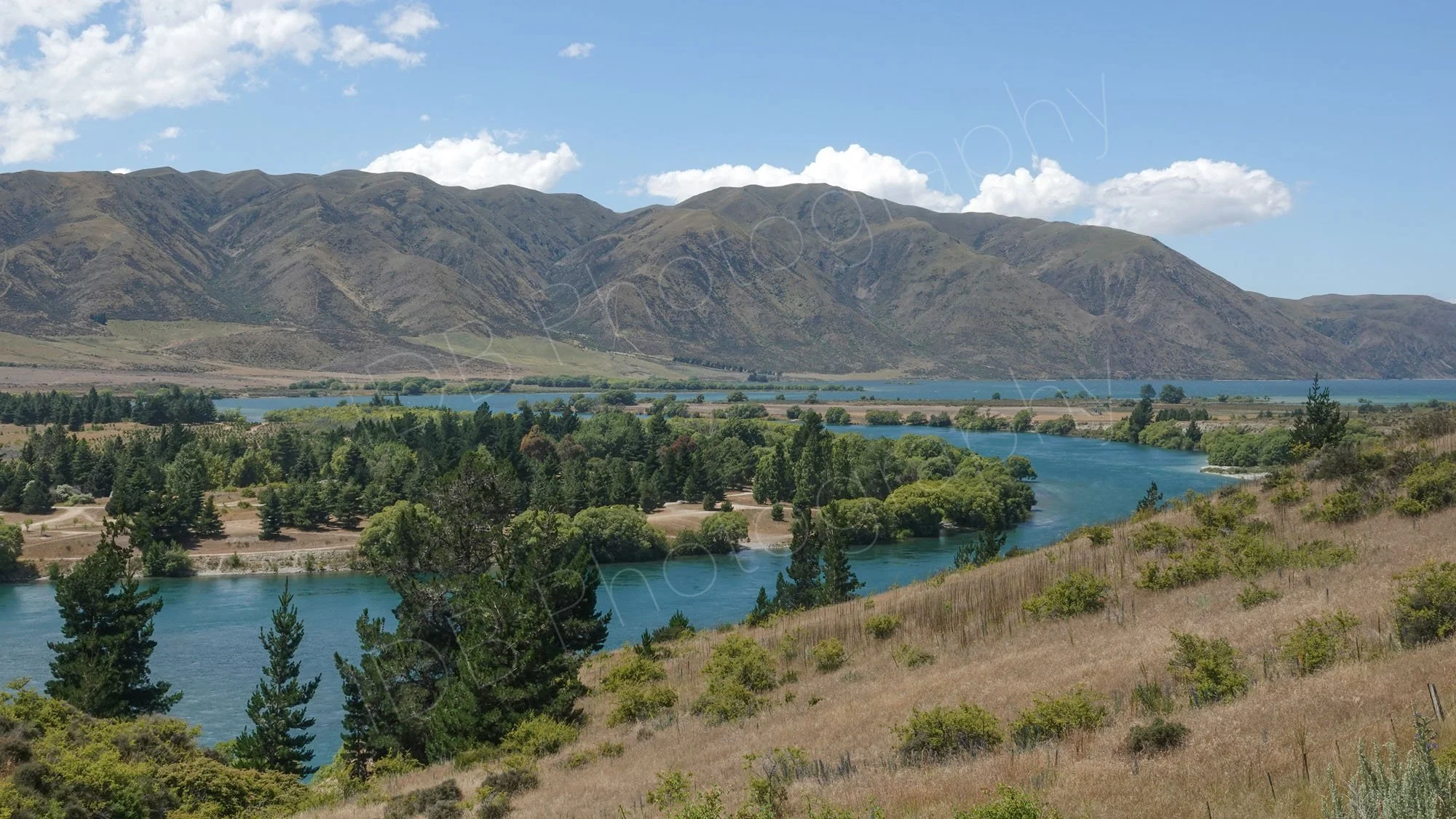 Waitaki River with pine trees and mountain backdrop, Canterbury, New Zealand.
