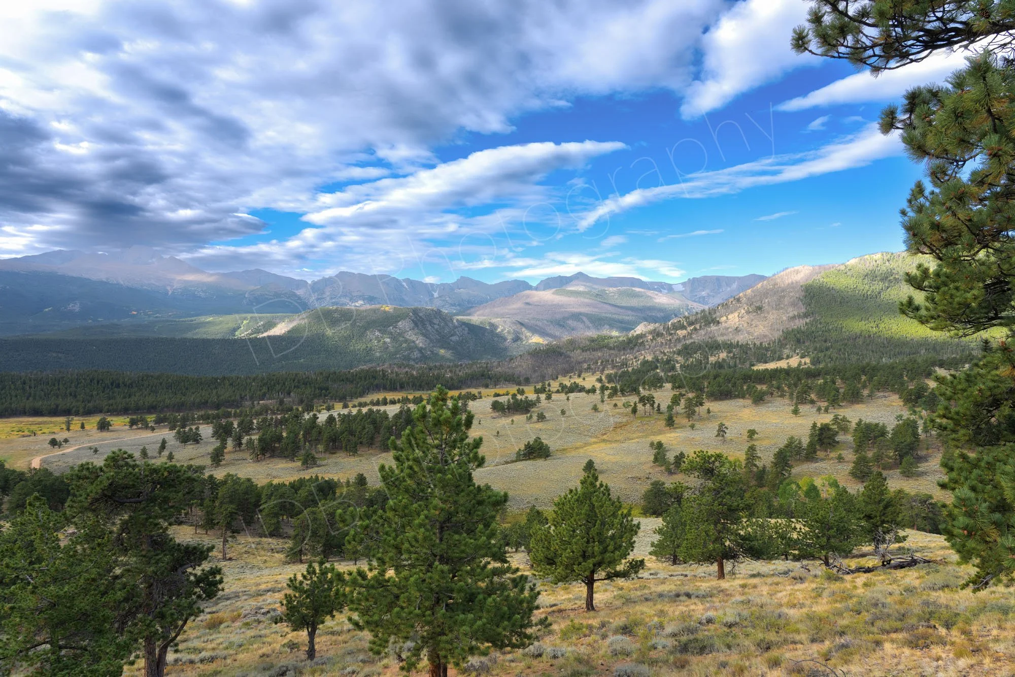 A view near Estes Park looking out over the forested valleys and distant mountain peaks of Rocky Mountain National Park in Colorado, USA; blue sky with dynamic clouds.