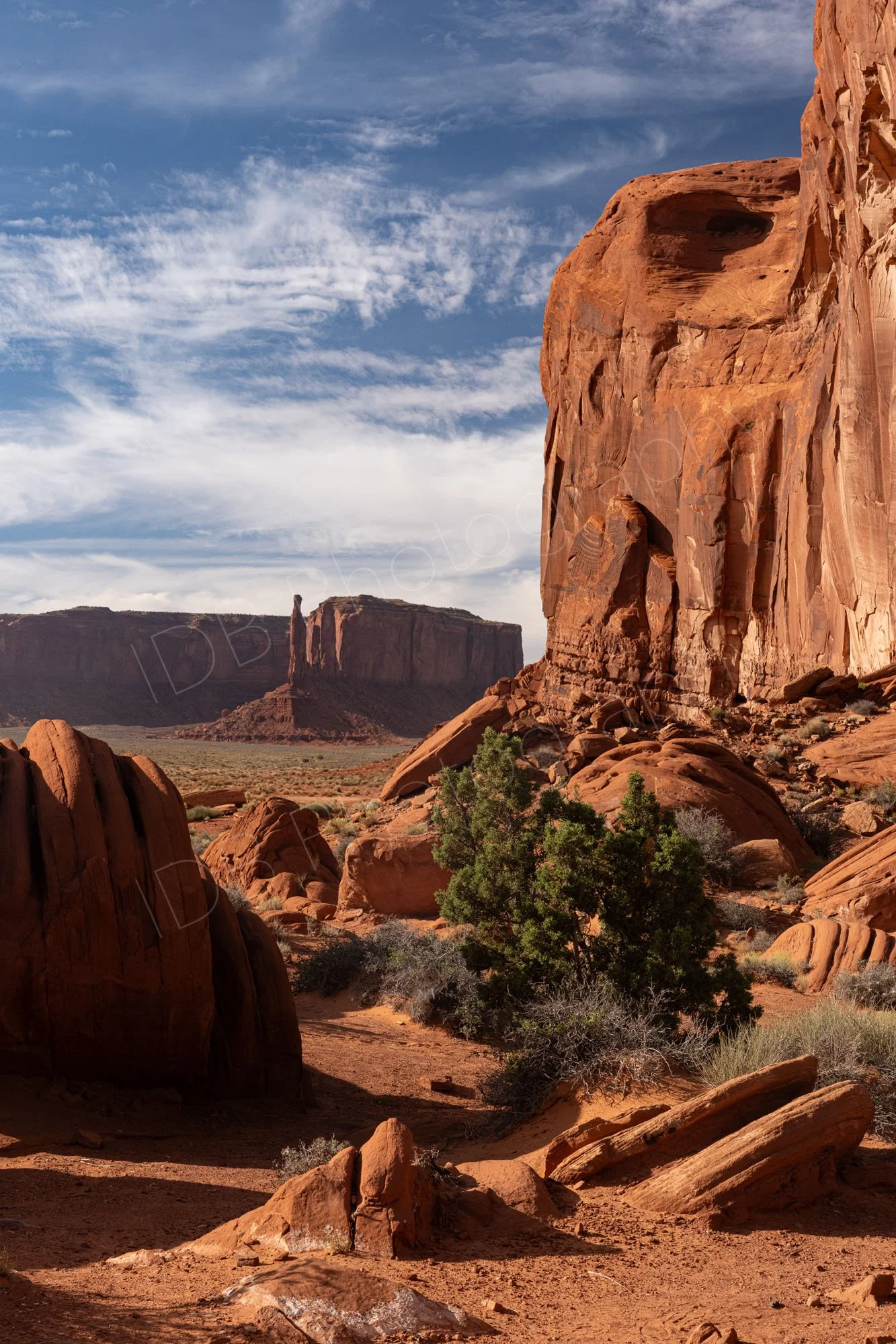 Monument Valley Navajo Tribal Park with a view of Elephant Butte and Totem Pole. There is a green shrub in the foreground and a nice blue cloudy sky.