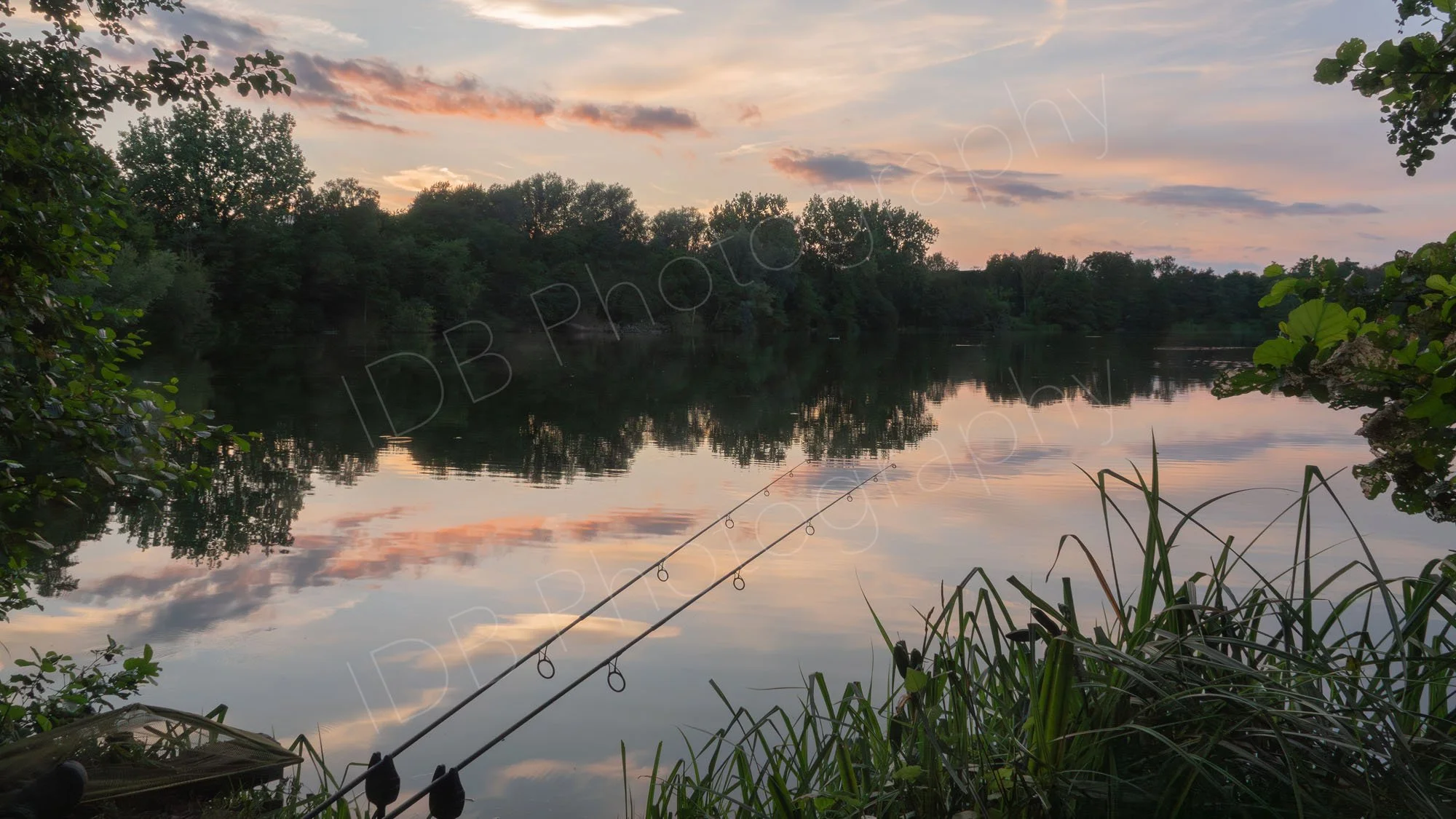 A tranquil sunset image with fishing rods and net protruding over the lake at Sevenoaks Wildfowl Reserve, Kent; nice sky and reflections.
