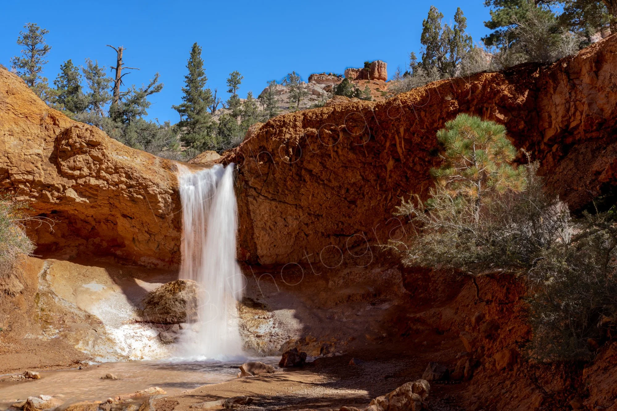 Mossy Cave Waterfall, Bryce Canyon National Park cascading over vibrant orange-red rock cliffs and hoodoo terrain, pine trees and blue sky.