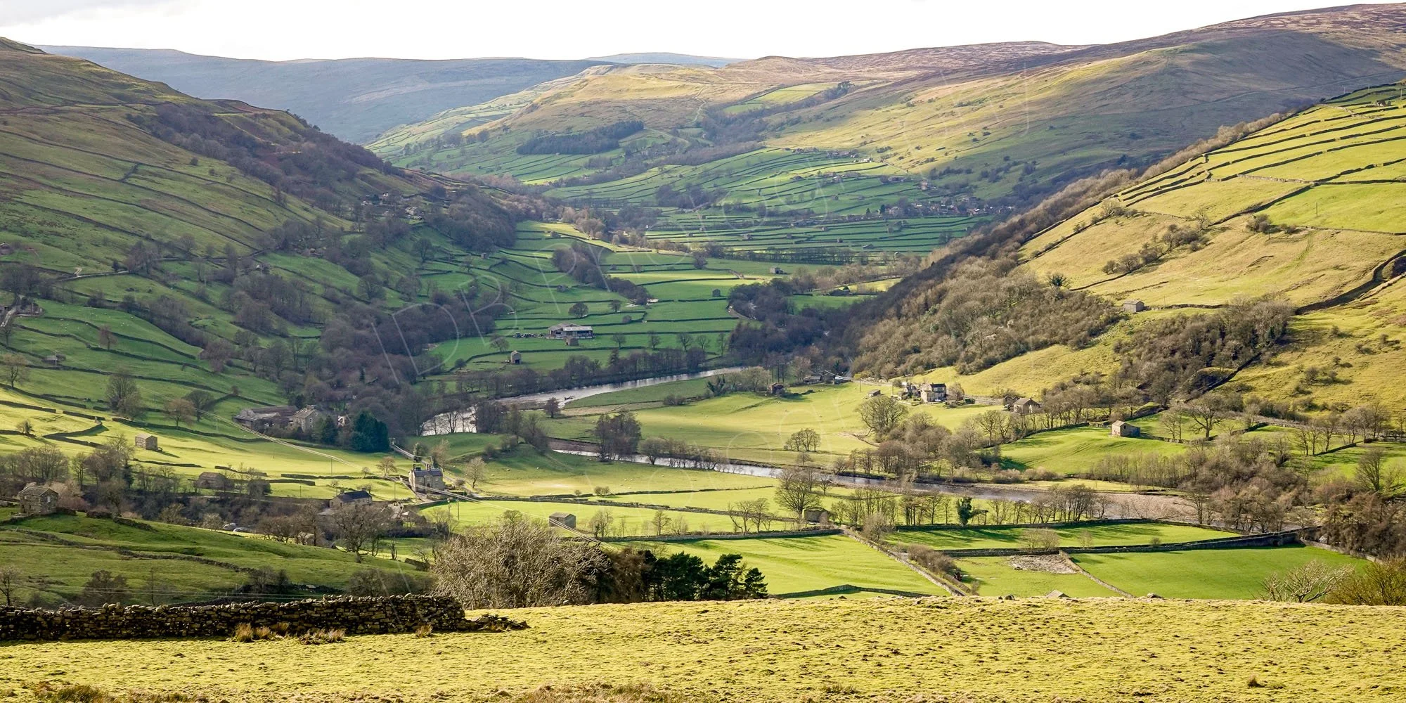 A scenic view of Swaledale, North Yorkshire. Beautiful green rolling hills with groups of trees and long shadows.