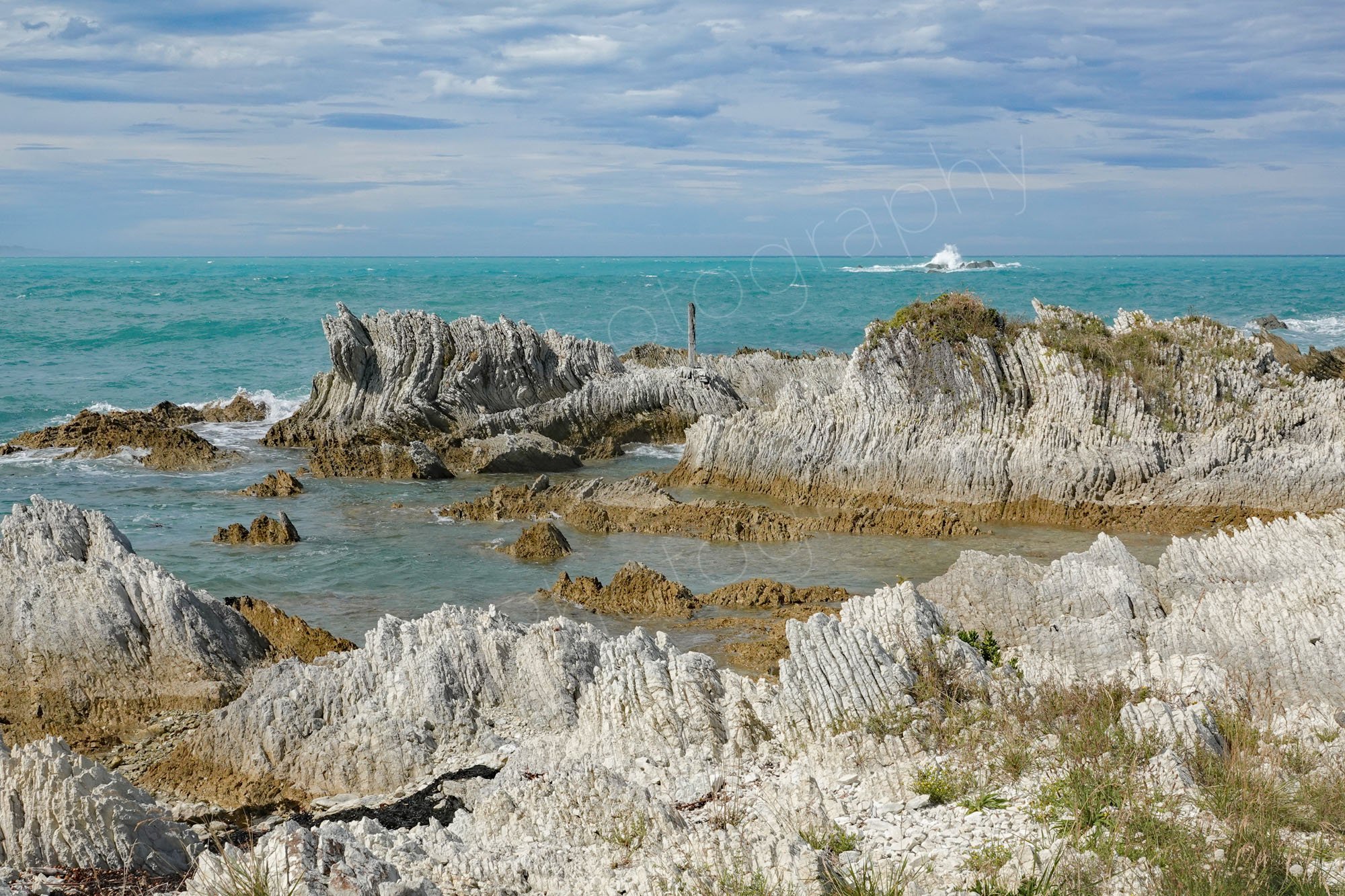 Kaikoura coastline, Canterbury, New Zealand with uplifted folded limestone rock formations from the 2011 earthquake. Breaking waves in background.