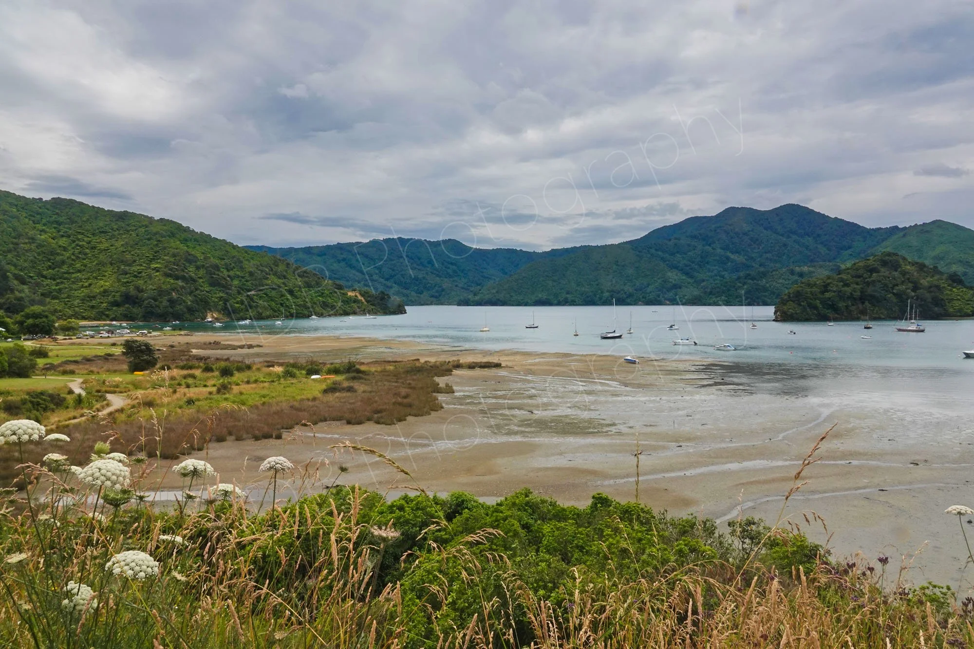 Marlborough Sounds, NZ,  at low tide with wild flowers , boats on the water and mountains in the background, with cloudy skies.