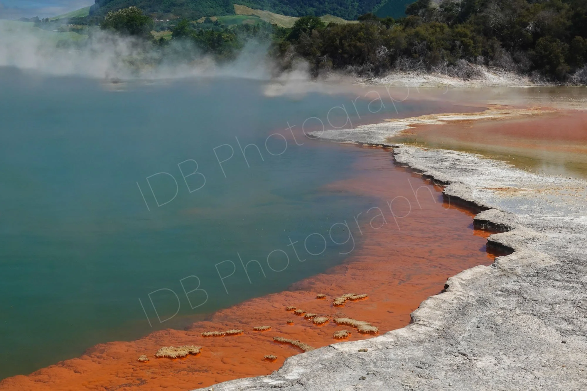 A striking area of the Champagne Pool, Waiotapu , Rotorua, a geothermal hot spring with vivid orange and grey mineral deposits.