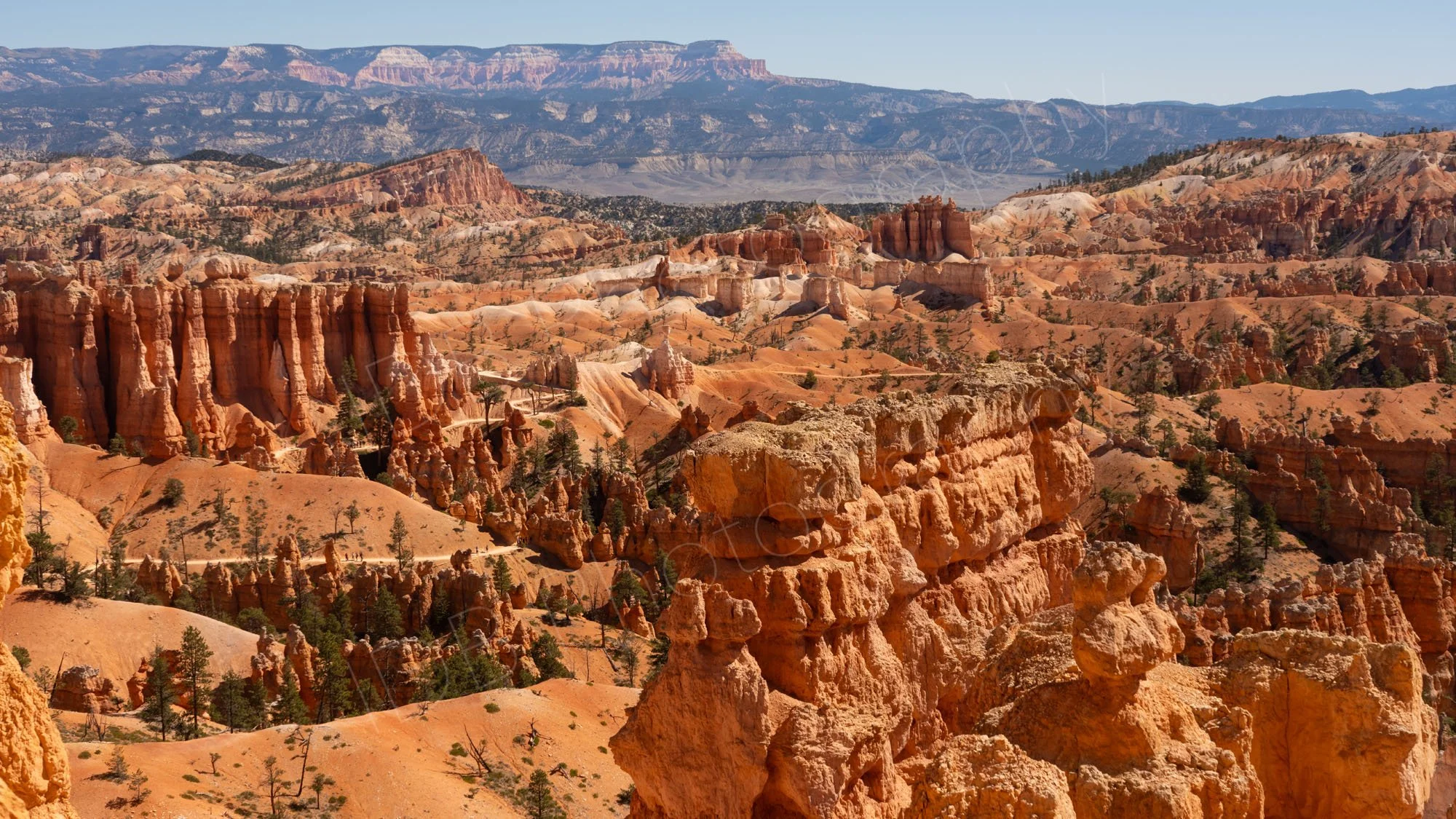 A view of the pink and orange hoodoos in Bryce Canon amphitheatre, the "Sinking Ship" and the cliffs of Aquarius Plateau can be seen in the background. 