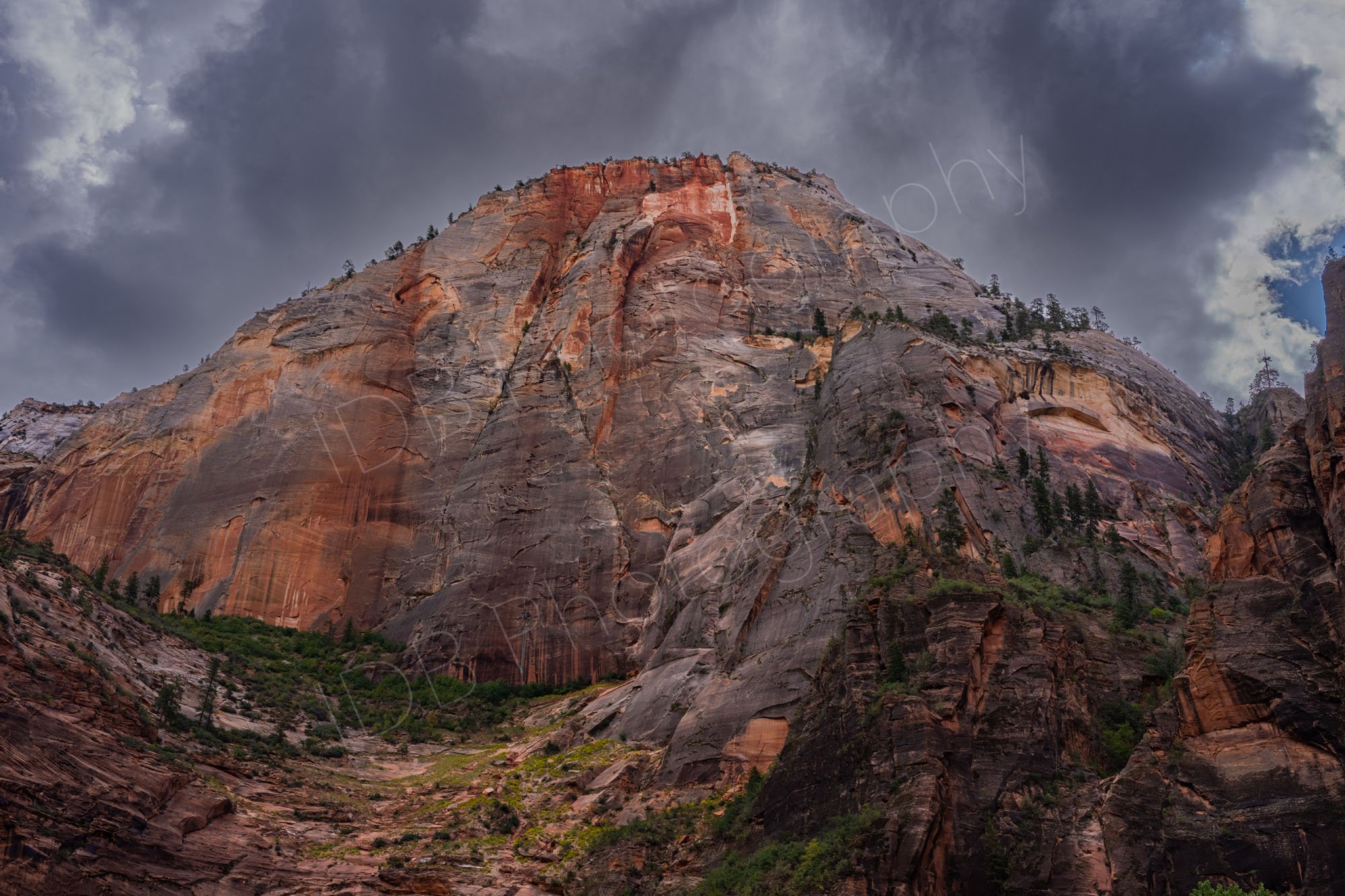 A dramatic red and brown domed mountain with sparse green trees and impressive thunder clouds In Zion National Park, Utah.
