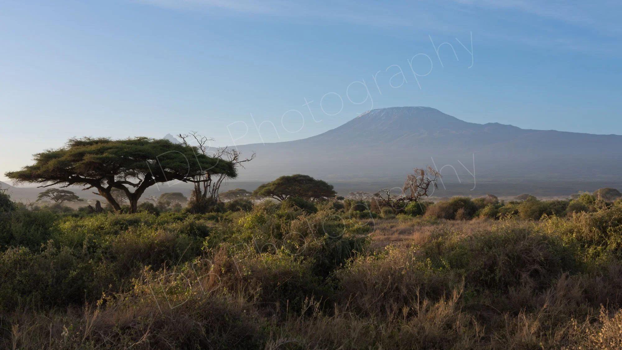View of Mount Kilimanjaro from Kibo Camp, Amboseli, Kenya  with mild haze but no clouds.