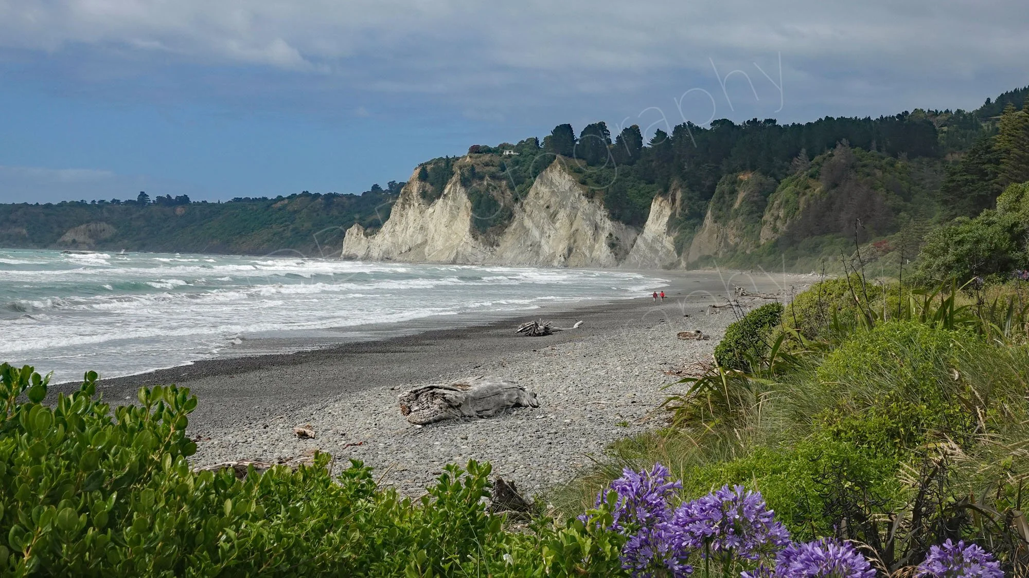 Gore Bay Beach, Canterbury, New Zealand, stony beach with driftwood, white waves,  and dramatic white cliffs in background.
