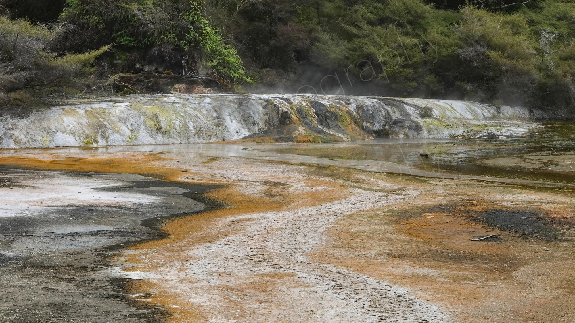 Warbrick Terrace, a colourful sinter terrace located within the Waimangu Volcanic Valley, Rotorua, New Zealand.