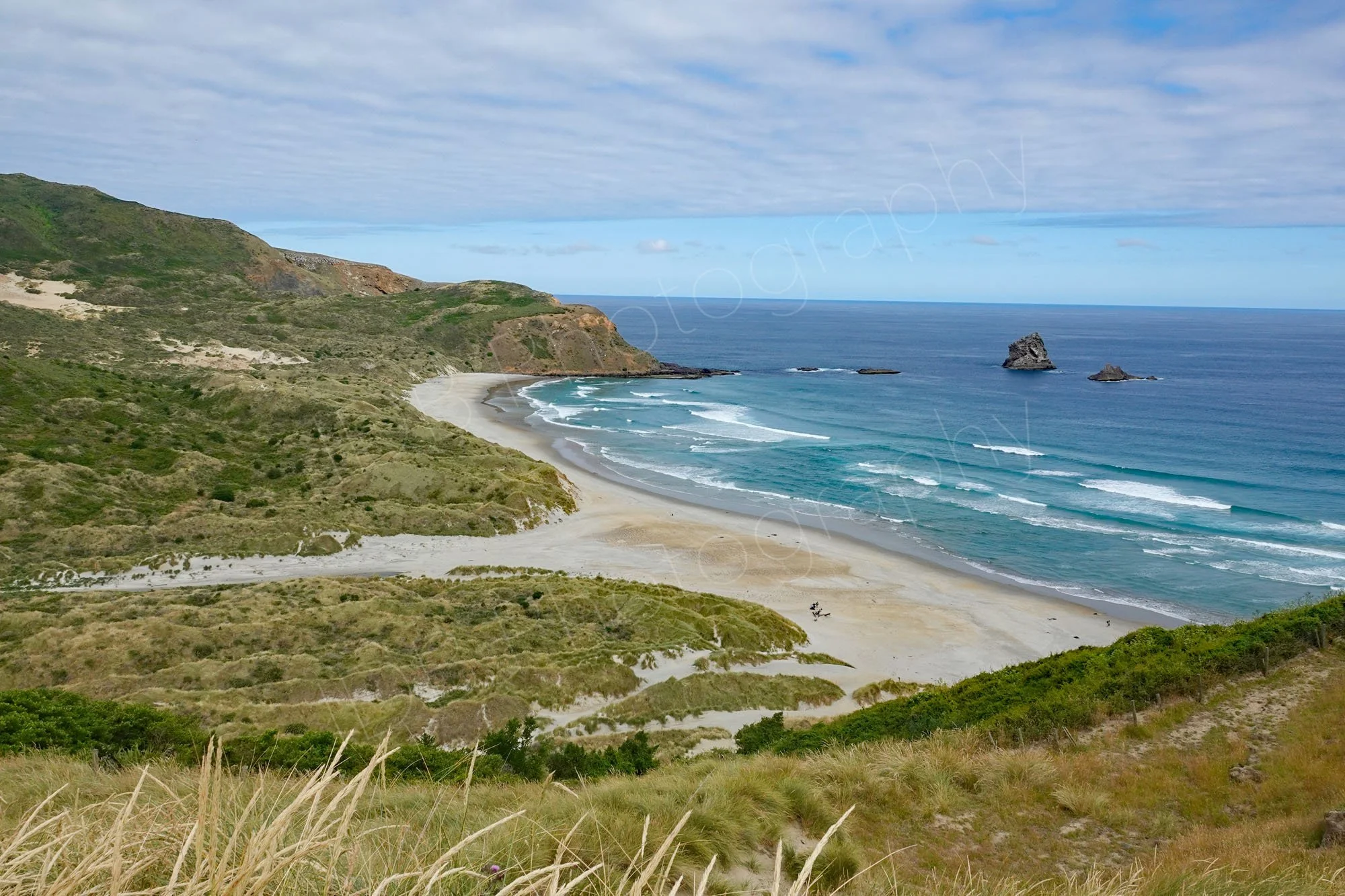 Overview of Sandfly Bay, Dunedin, Otago, New Zealand.
